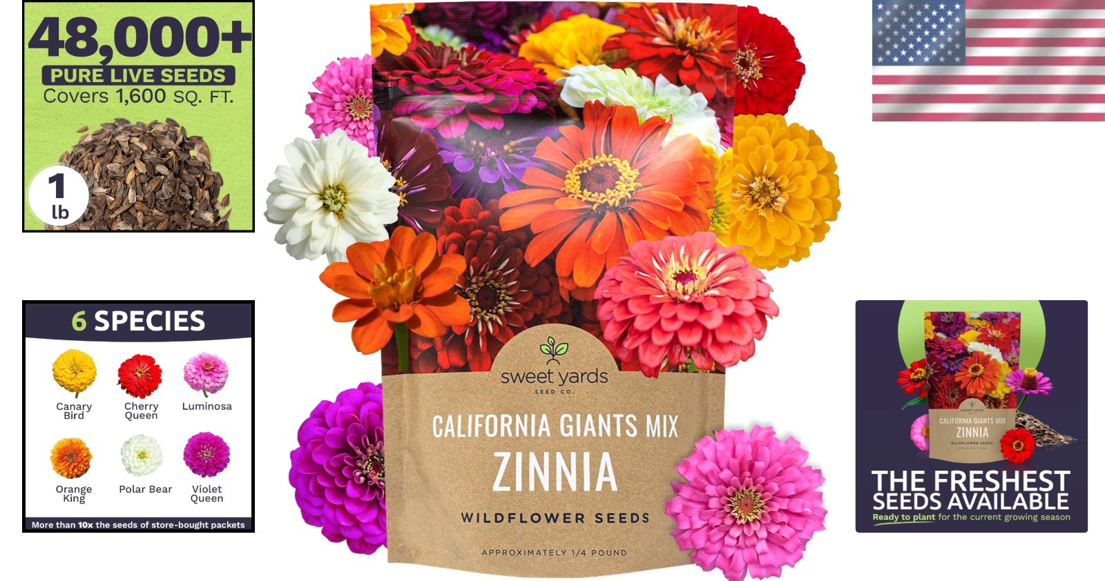 Zinnia California Giants – 1lb Bag – 48k+ Seeds
