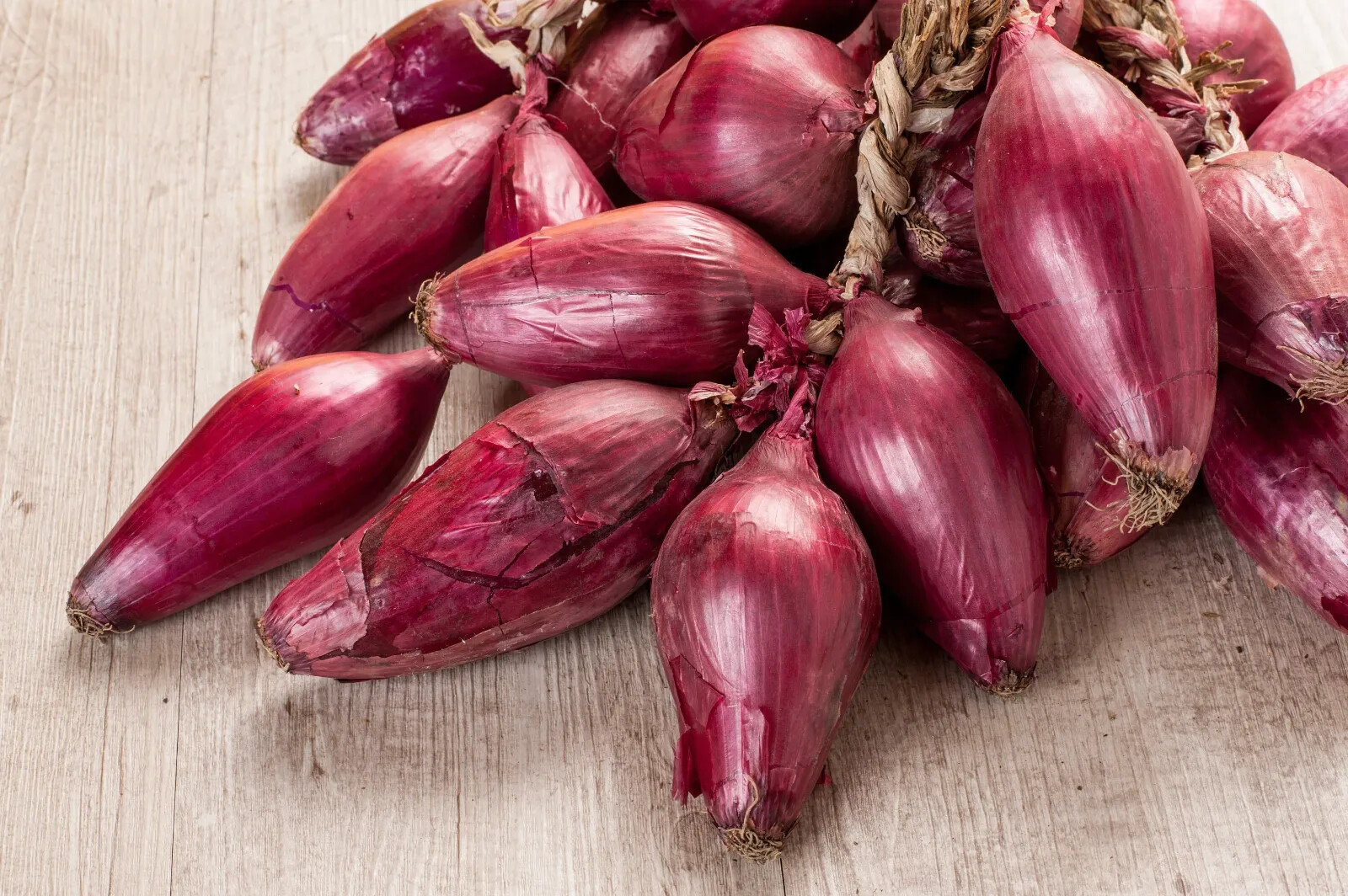 Italian Red Torpedo Onion Seeds, NON-GMO, Rossa di Tropea, FREE SHIPPING