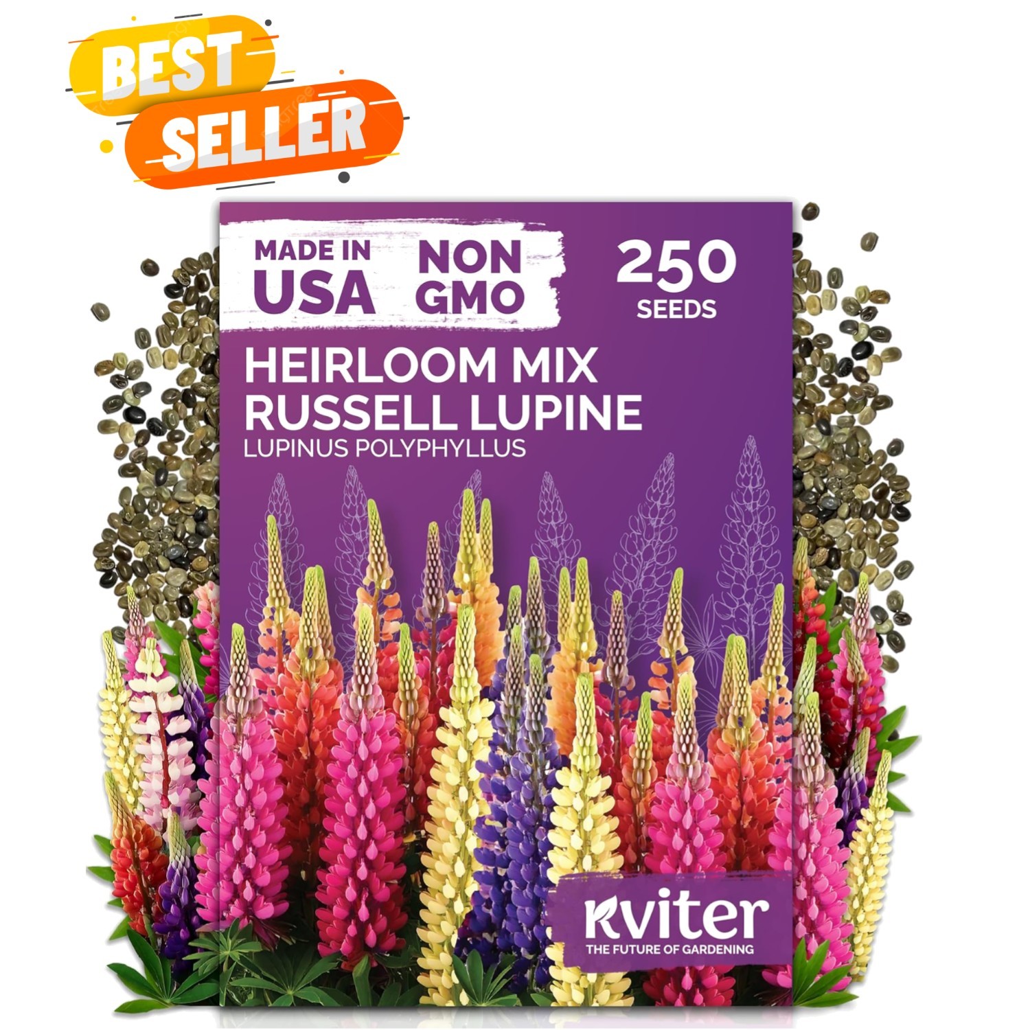 250 Mixed Russell Lupine Seeds for Full Sun Gardens – Easy & Low Maintenance