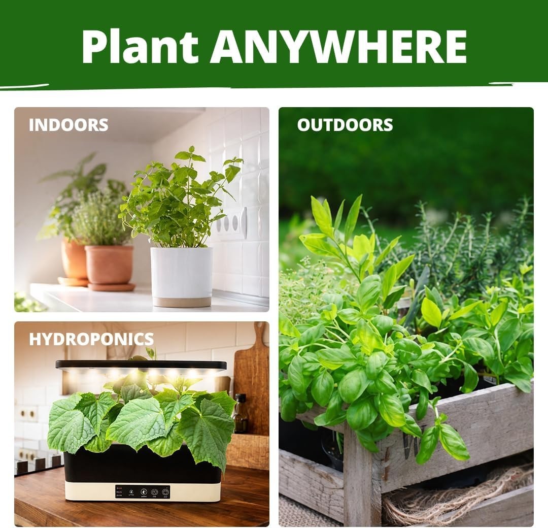 Culinary Herb Seed Vault – 15 Varieties, 4,300+ High Germination Seeds Included
