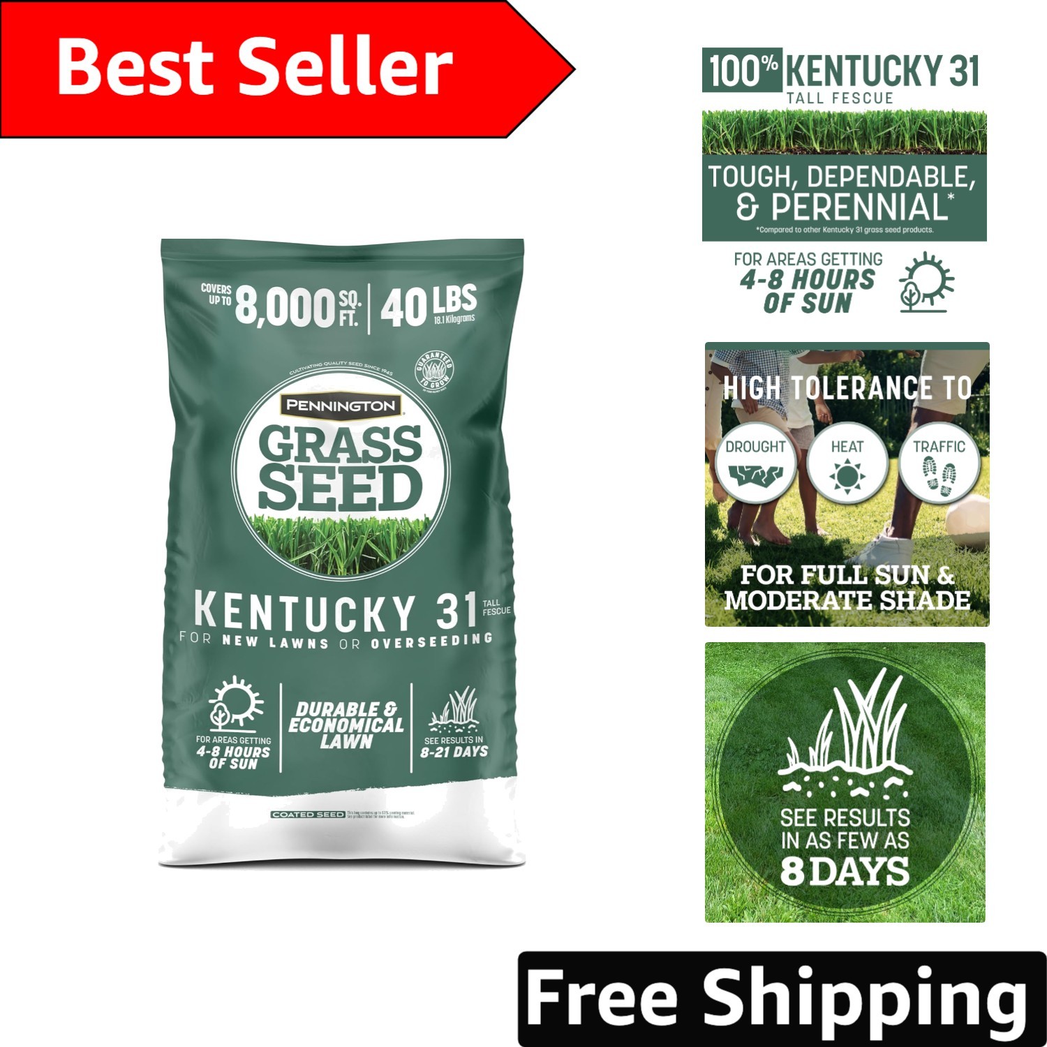 Penkoted Kentucky 31 Tall Fescue Grass Seed, 40 LB – Perfect for Your Lawn