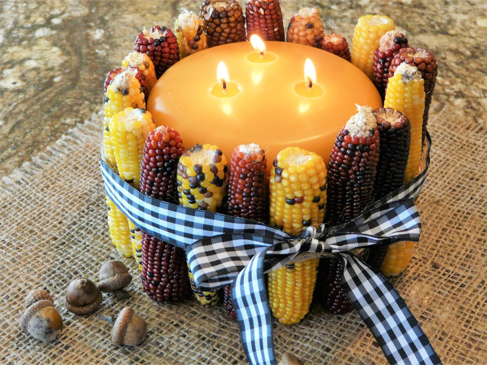 Red Husk Rainbow Ornamental Corn Seeds | Glass Gem Color Flint Popcorn Seed 2024