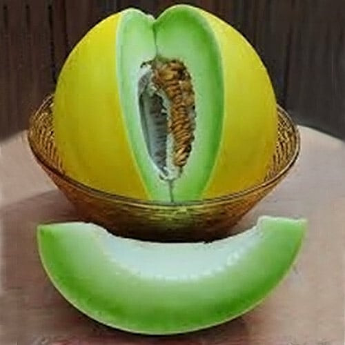 20 Golden Honeydew Melon Seeds / Sweet / Delicious / ORGANIC / FL GROWN
