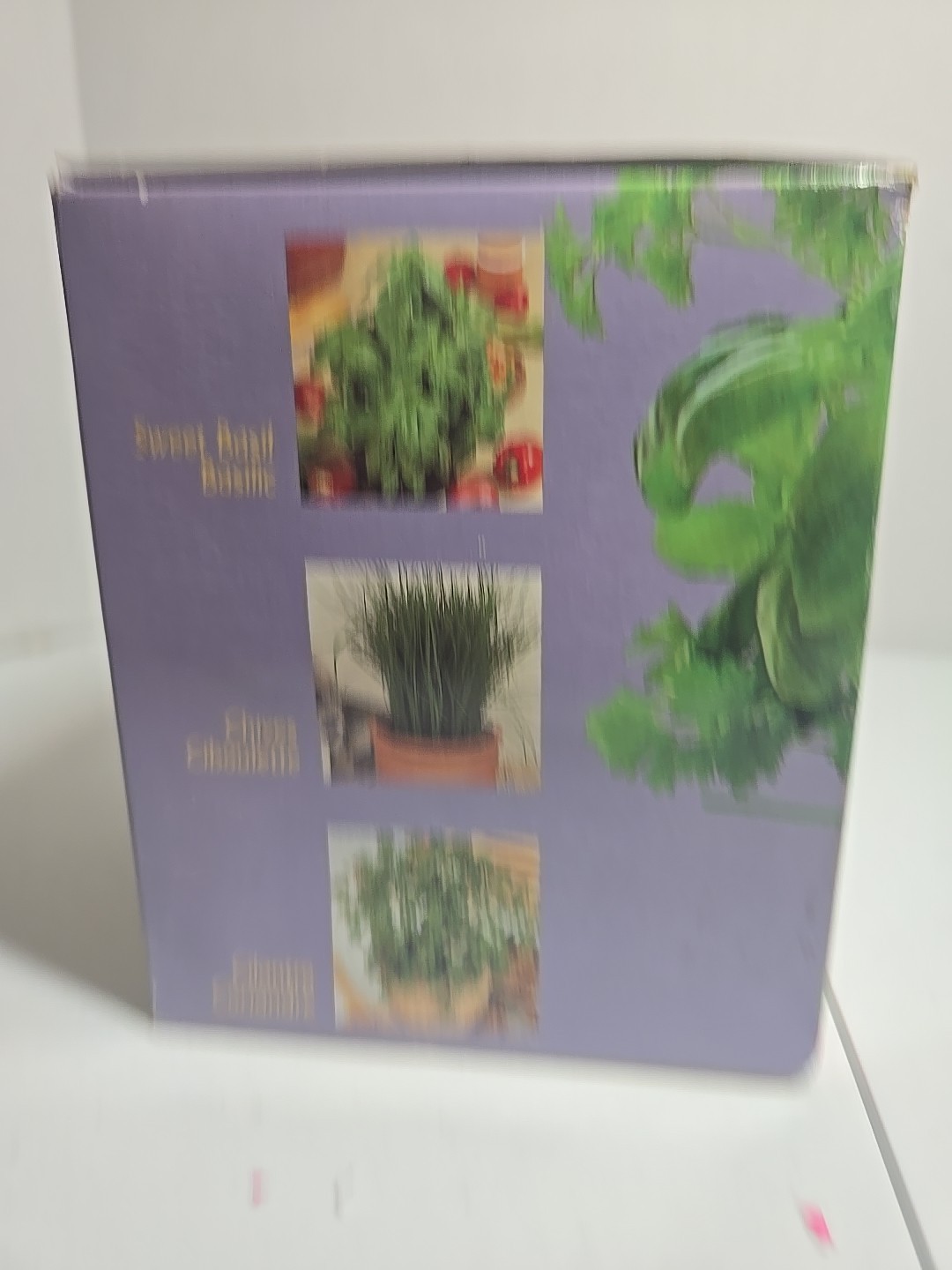 Kitchen Herbs Grow Kit