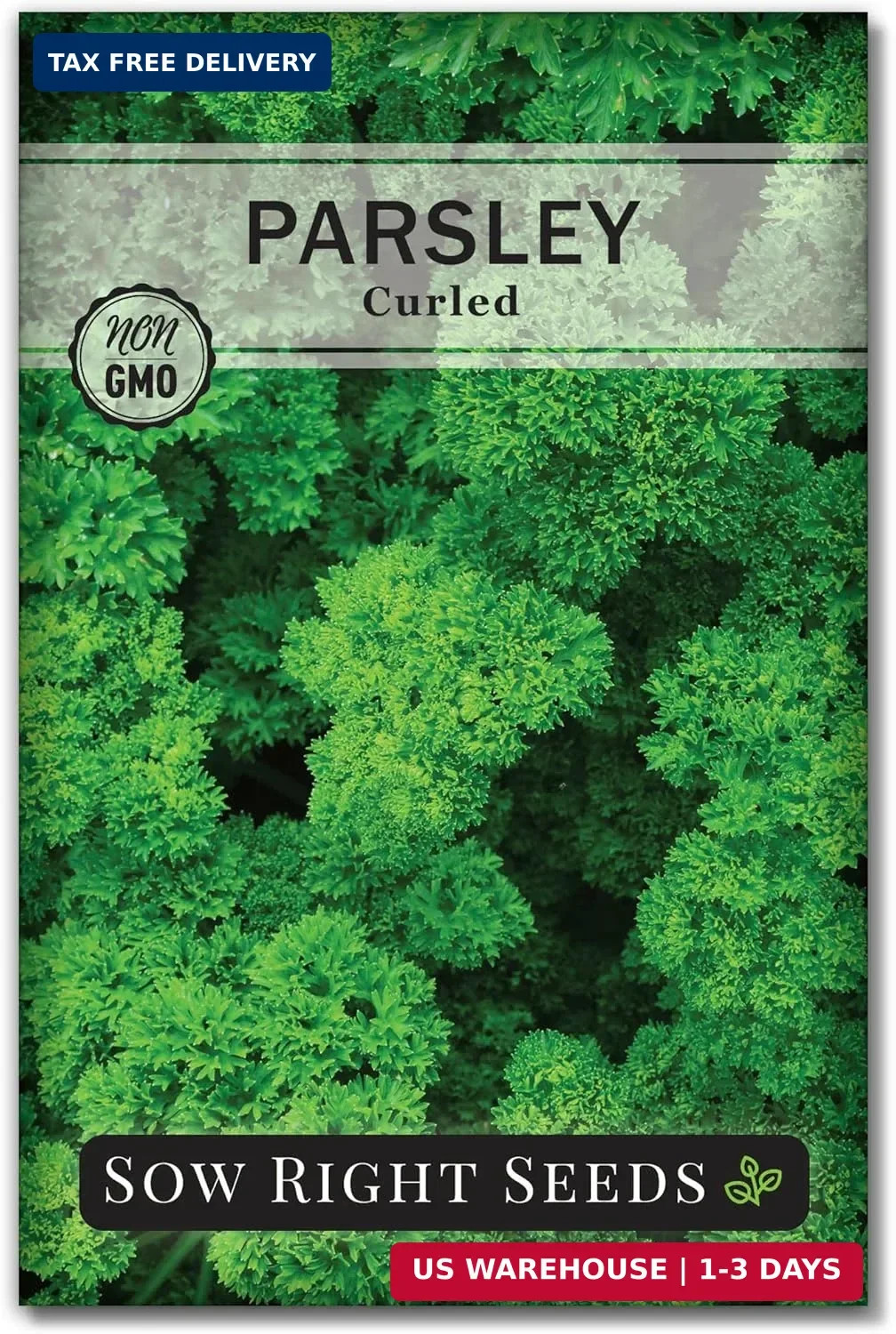 Sow Right Seeds – Curly Leaf Parsley Seed for Planting – Non-GMO Heirloom Packet