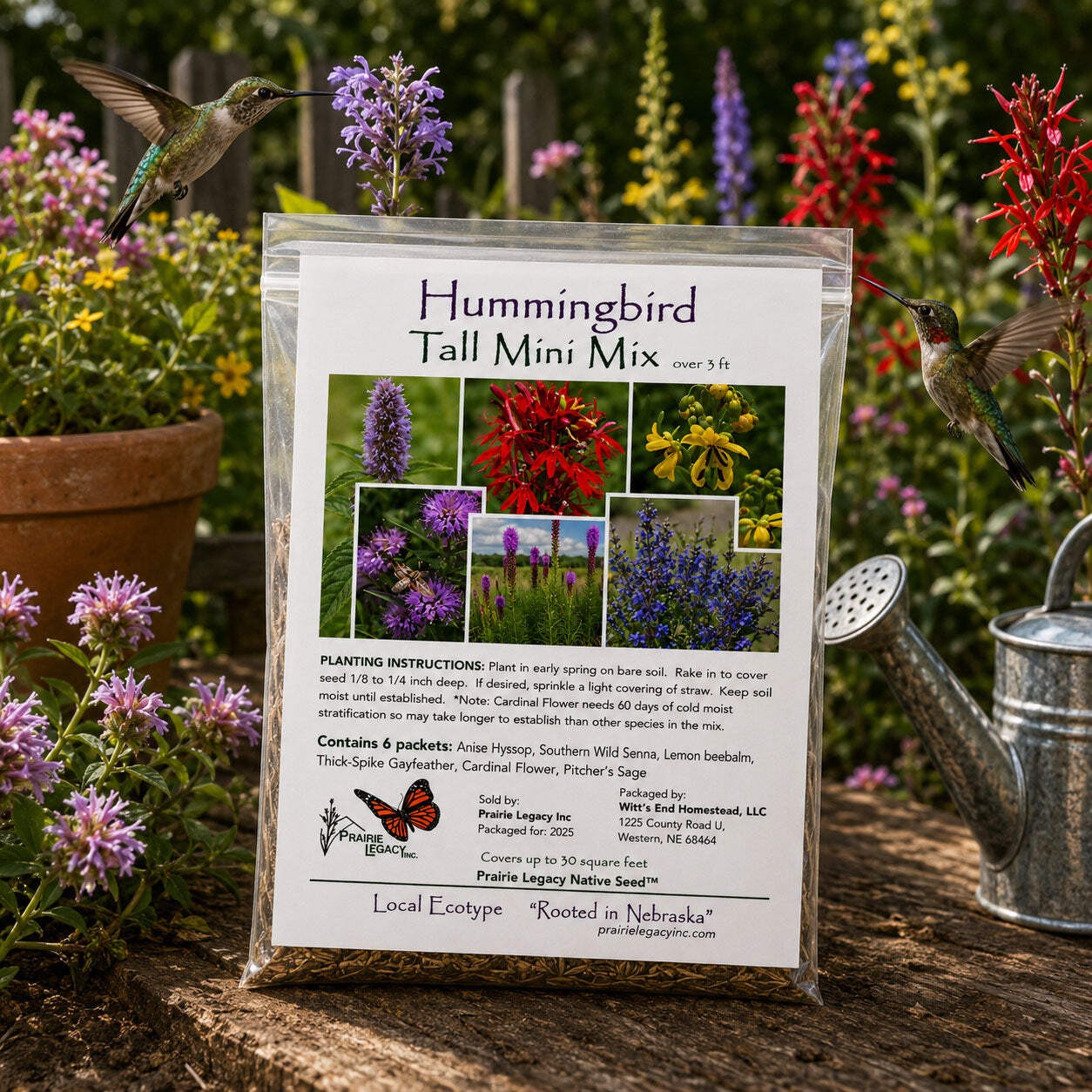 Mini Native Tall Hummingbird Seed Mix | Prairie Legacy Inc.