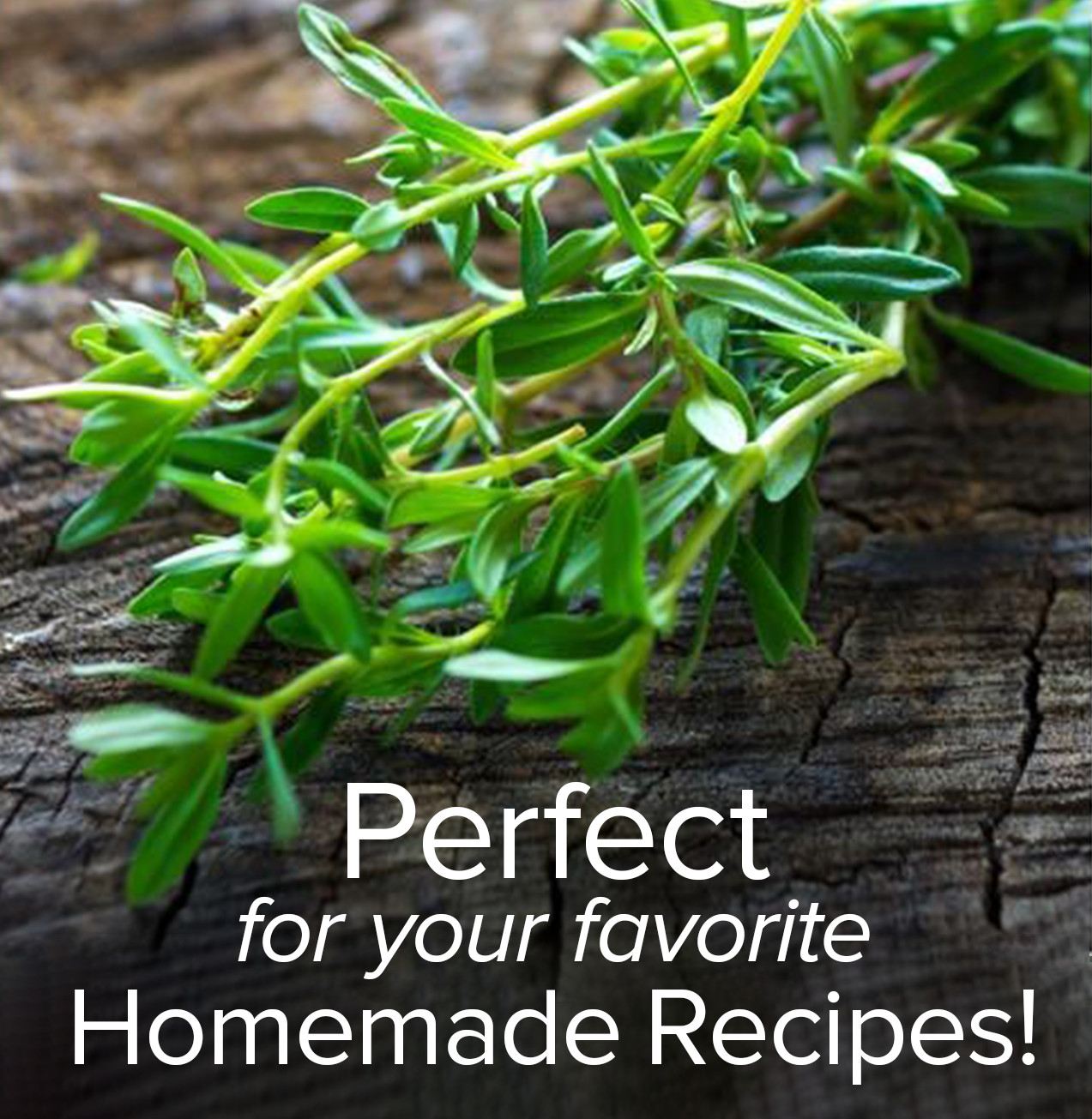 Summer Savory Seeds