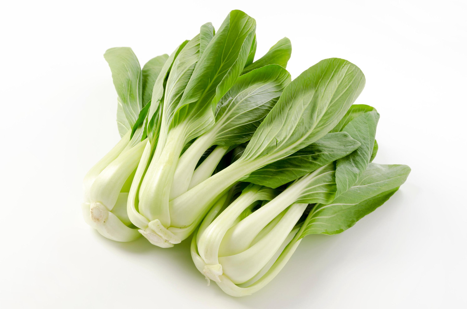 Chinese White Stem Pak Choi Bok Choy Seeds, Non-Gmo, Shipped with Tracking,