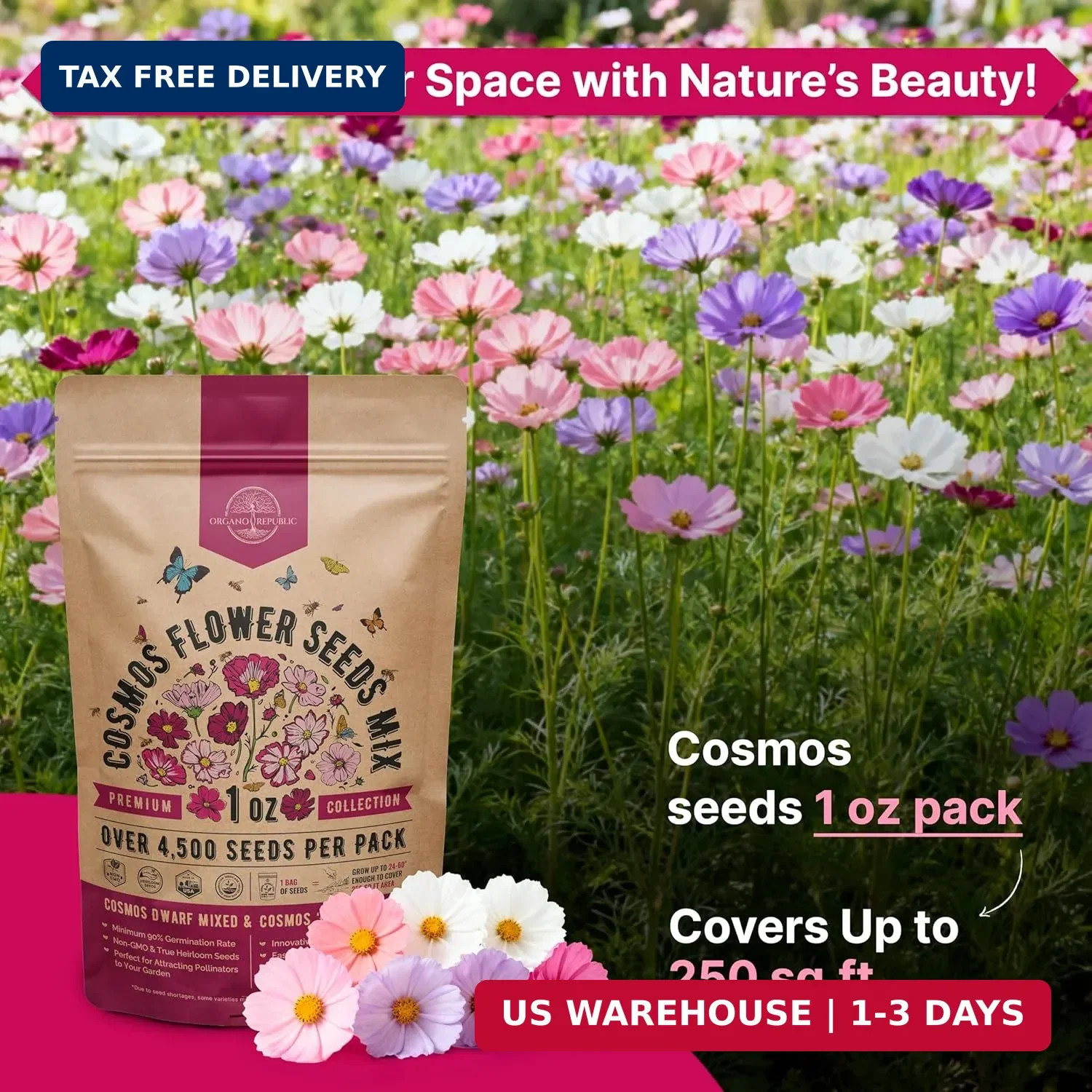 Cosmos Flower Seeds Pack 1 oz – 4,500 Non-GMO Heirloom Annual Seeds for Planting