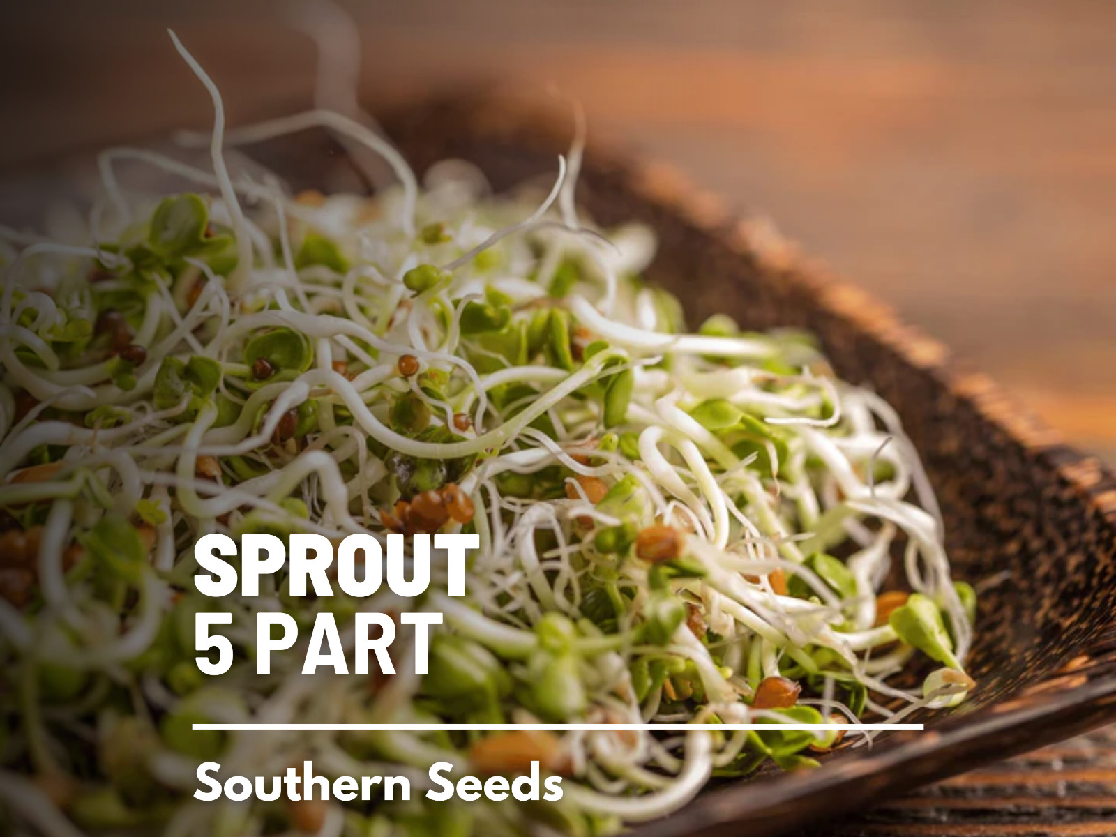Sprout, 5 Part Mix – 1,000 Seeds – Grow All Year – Non GMO