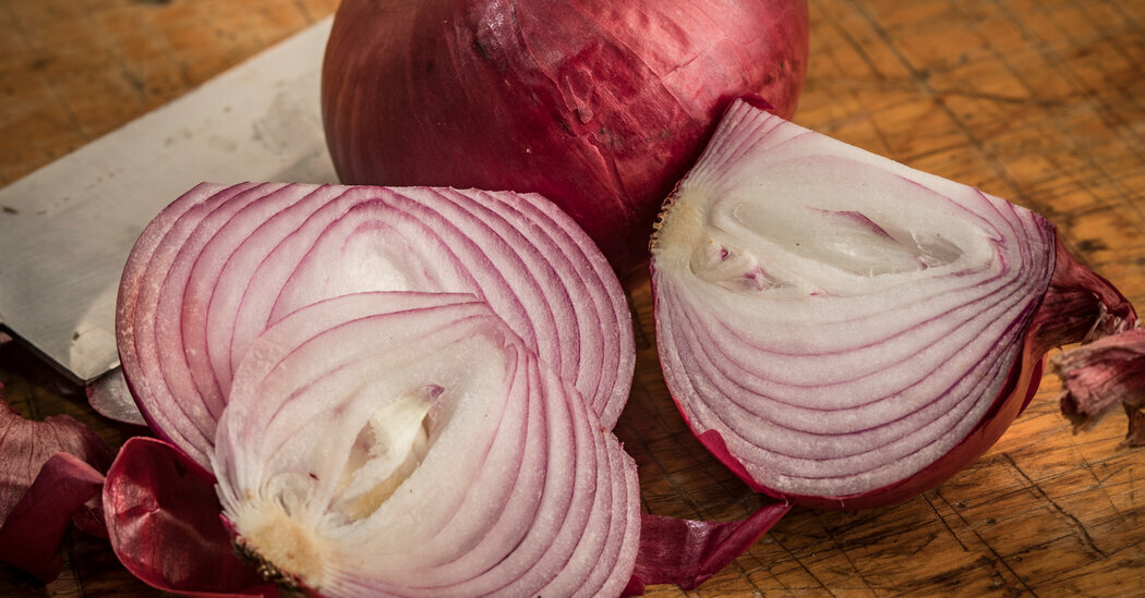 401+RED GRANO SWEET ONION Seeds Short Day Organic Spring Fall Vegetable Garden