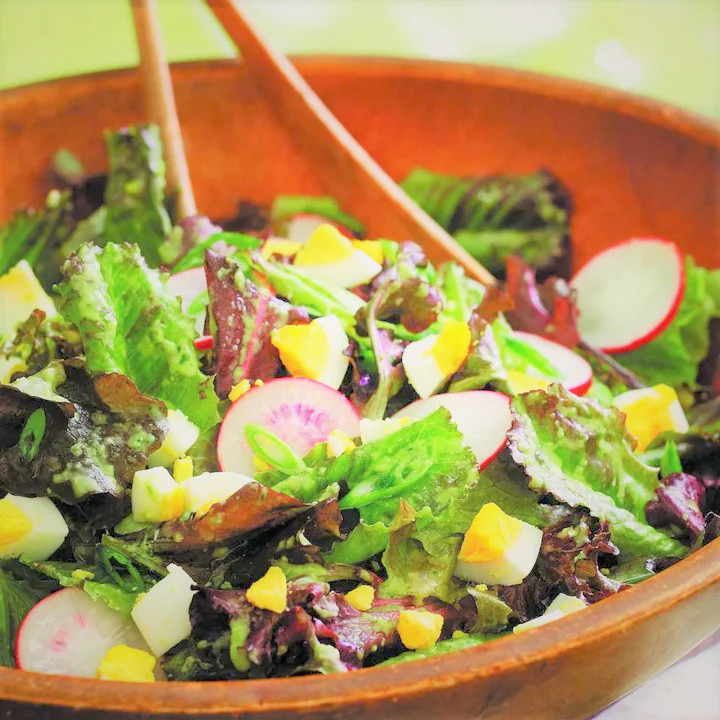 Bronze Mignonette Butterhead Lettuce Seeds | Lactuca Red Buttercrunch Bibb 2024