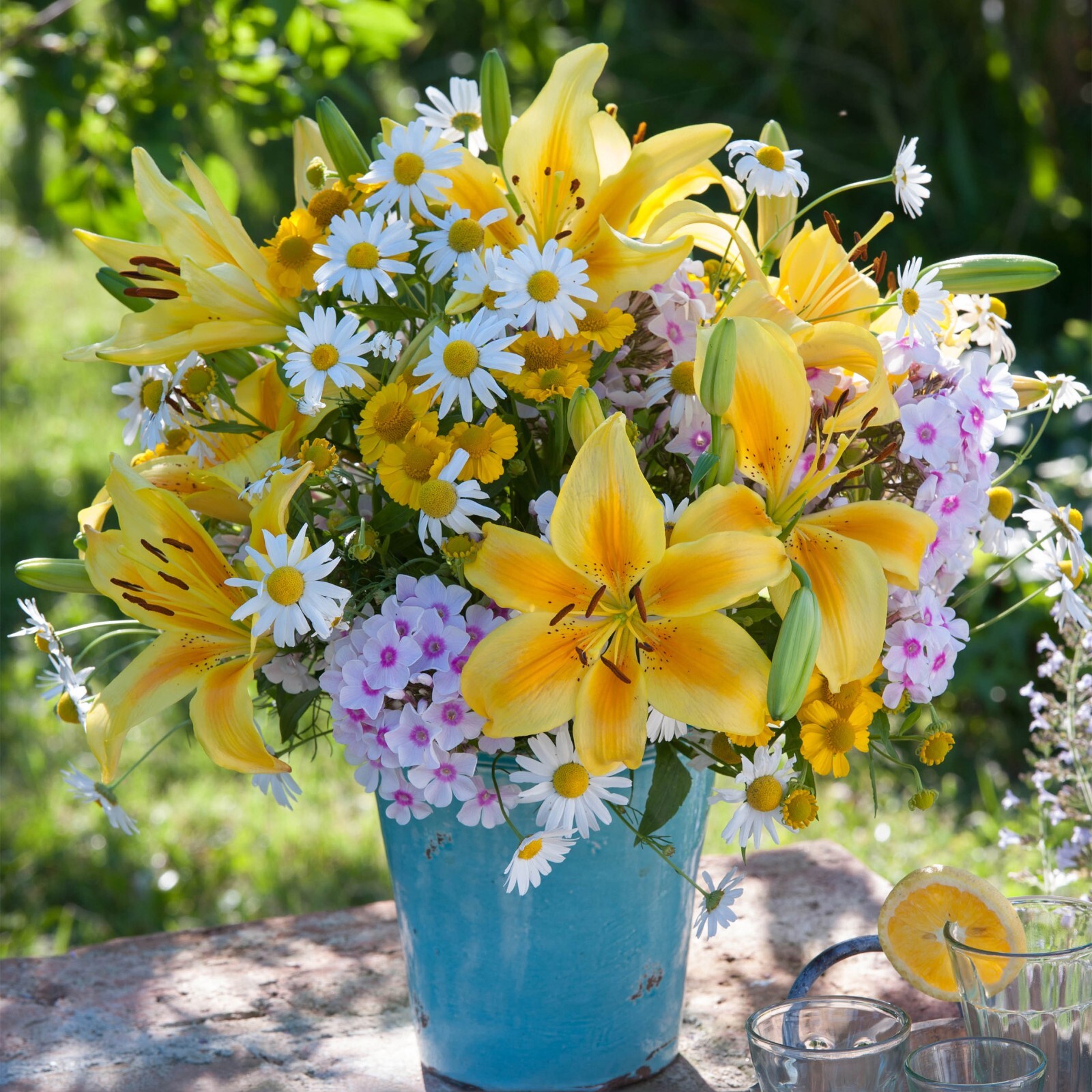 Garden State Bulb Yellow Bruse Asiatic Lily Flower Bulbs, 14/16cm, Spring