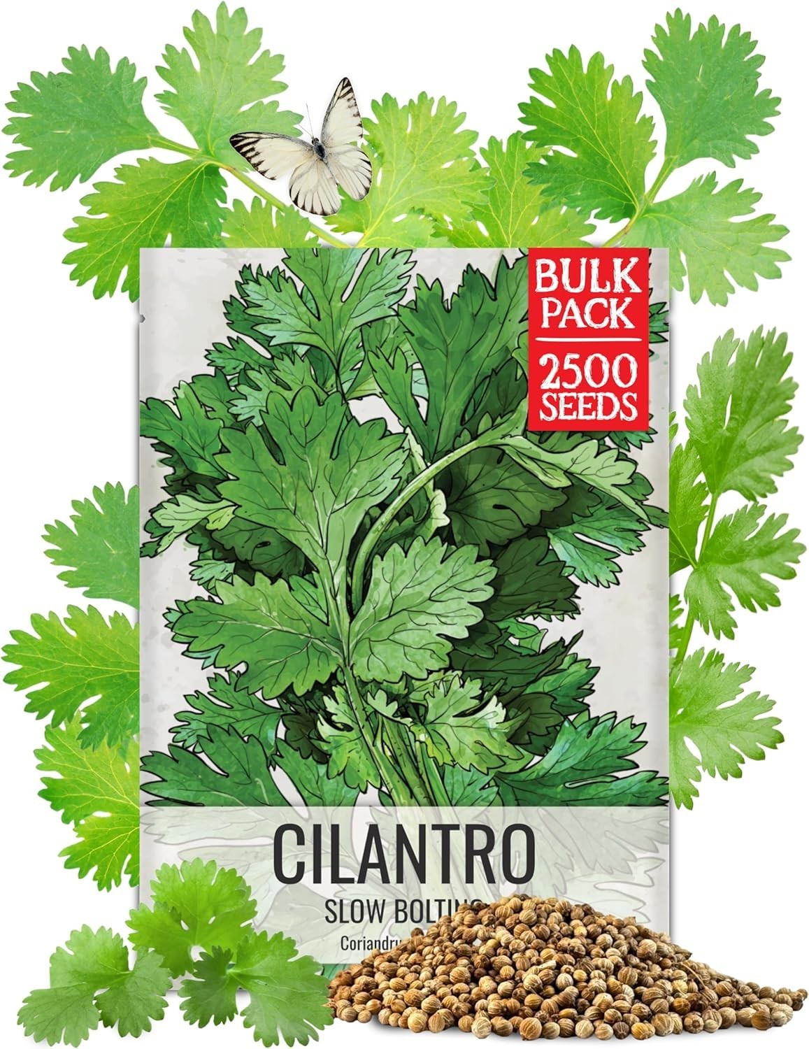 Seed Needs Cilantro Seeds – 1.5 Ounce Bulk Package Coriander Seed
