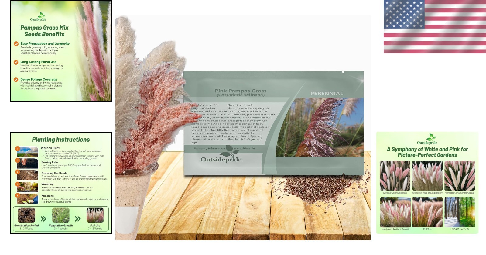 Pampas Mixed Seeds – 1,000 Count for Tall Privacy and Low-Maintenance Gardens