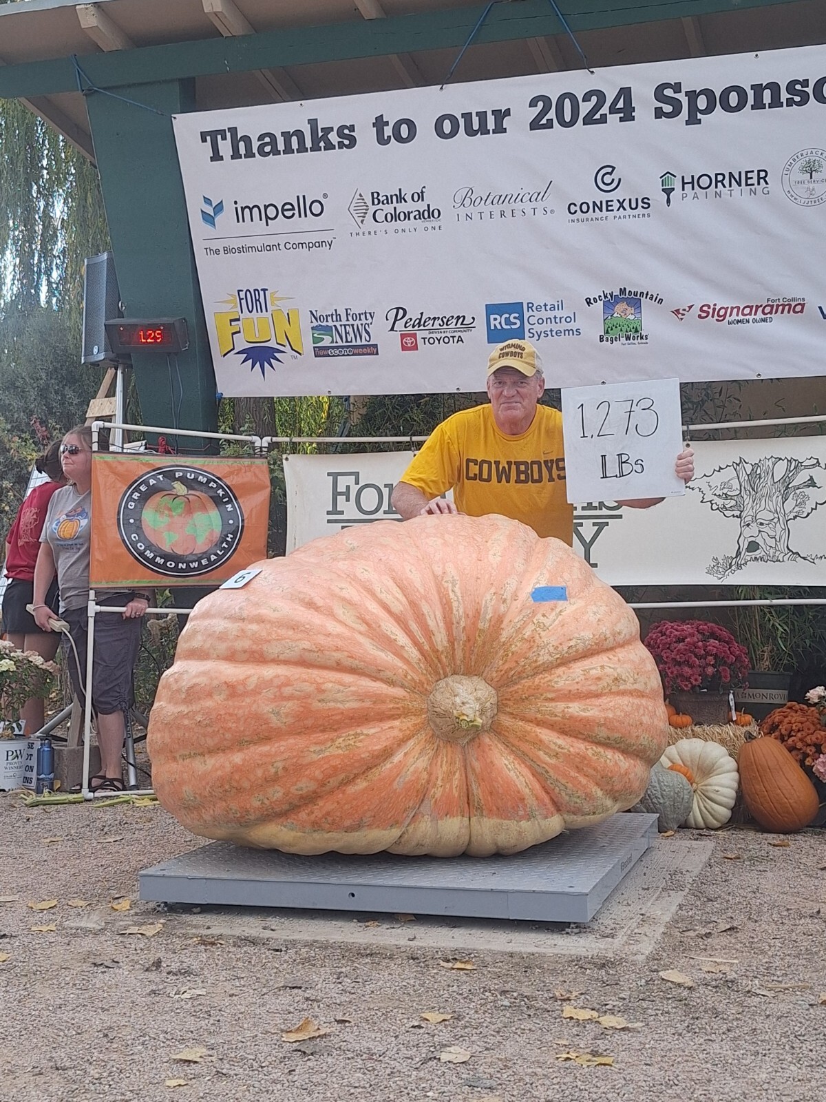 Giant Pumpkin Seeds from 1,273 pound 2024 (1028 Stellern X Self) $29/3 seeds.