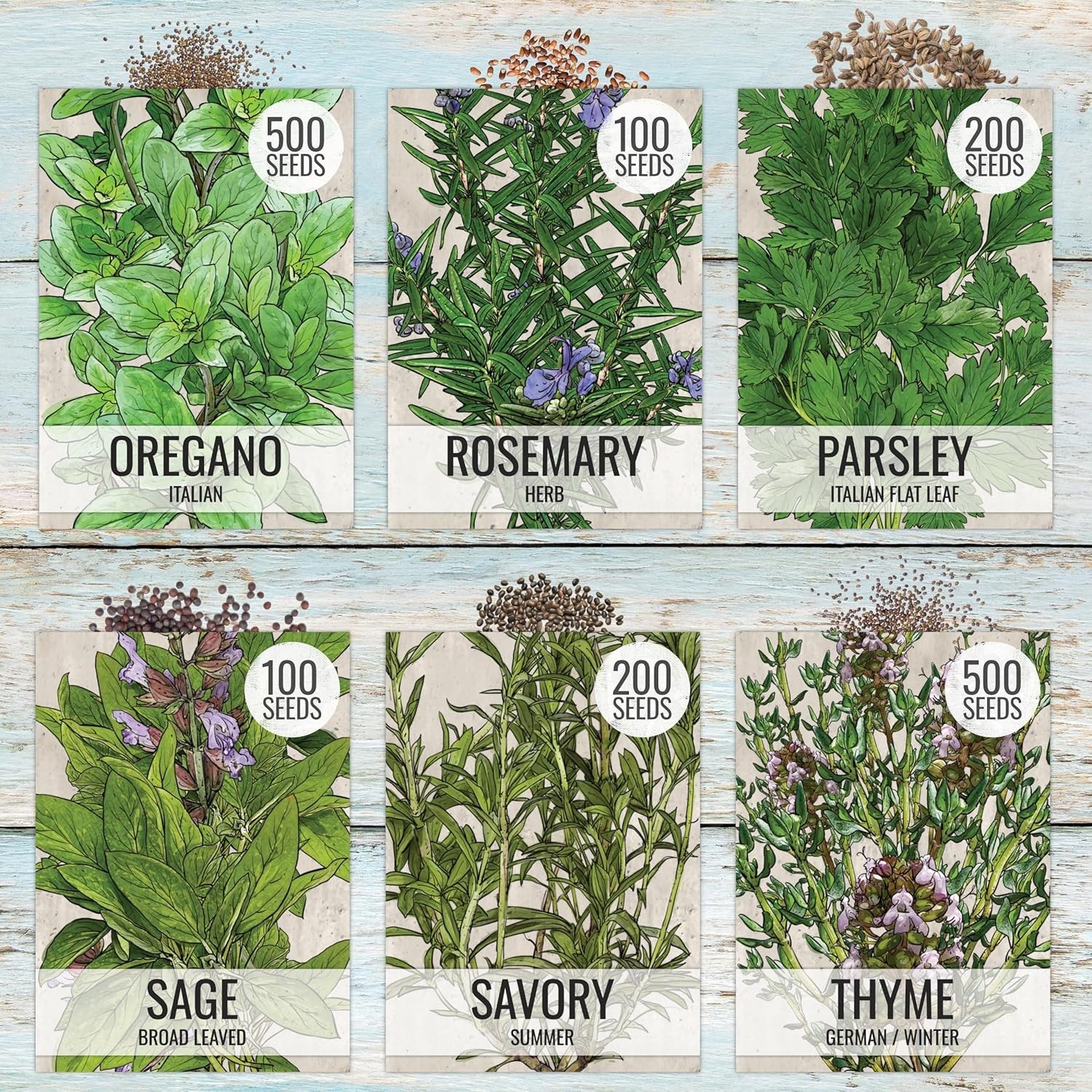Herb Seeds Variety Pack Culinary Herb Collection 12 Individual Packets for Pl…