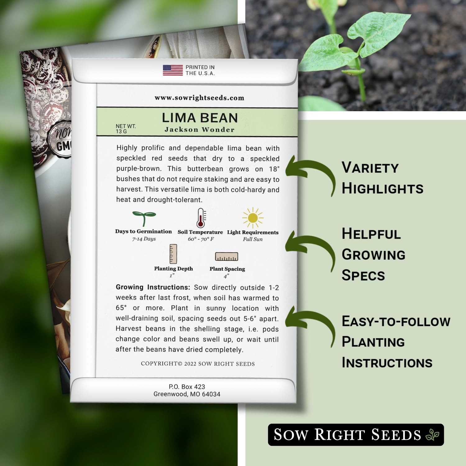 Jackson Wonder Lima Bean Seeds – Non-GMO Heirloom for Home Garden Planting
