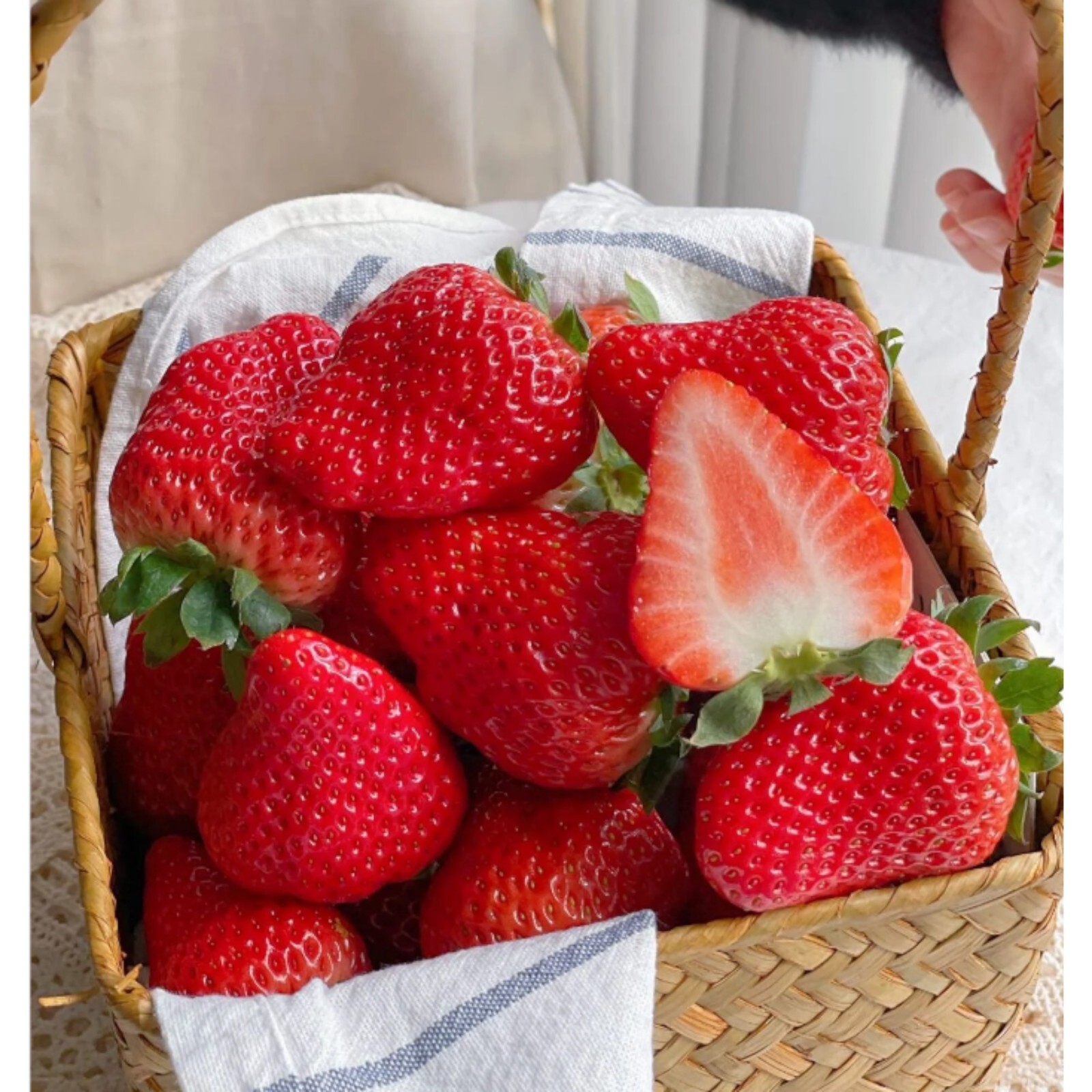200 pcs Cream Strawberry Seeds – Hardy Perennial Herb, Fall & Spring Planting