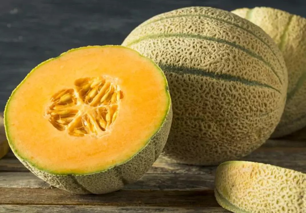 50+ HONEY ROCK CANTALOUPE – MELON – HEIRLOOM – ORGANIC – NON-GMO —- FRESH