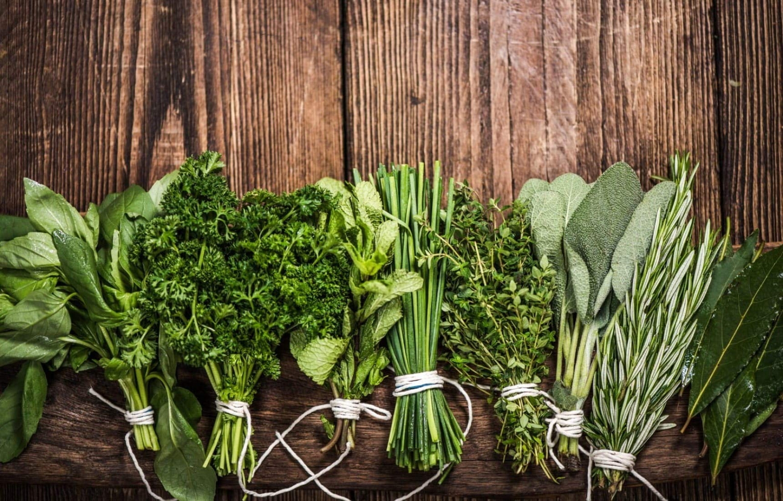 Herb Garden Kit | Chef 5 Pack | Parsley, Oregano, Cilantro, Dill, and Thyme