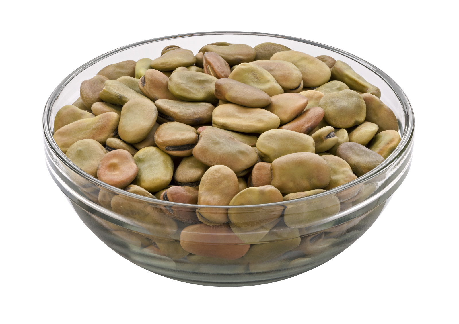 Windsor Fava Bean Seeds