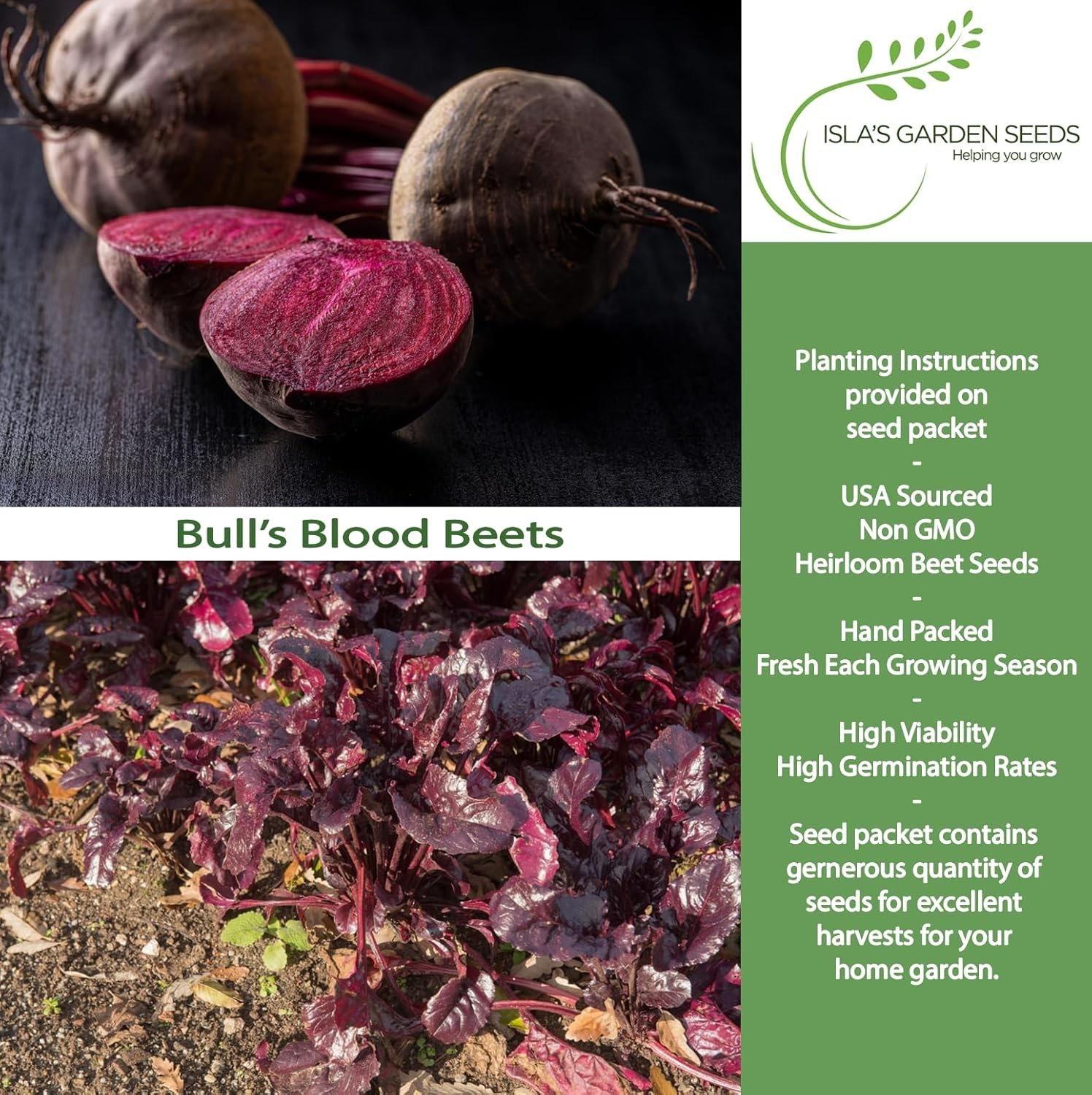Deep Red Bull’s Blood Beet Seeds – 100+ Perfect for Healthy Salads & Microgreens