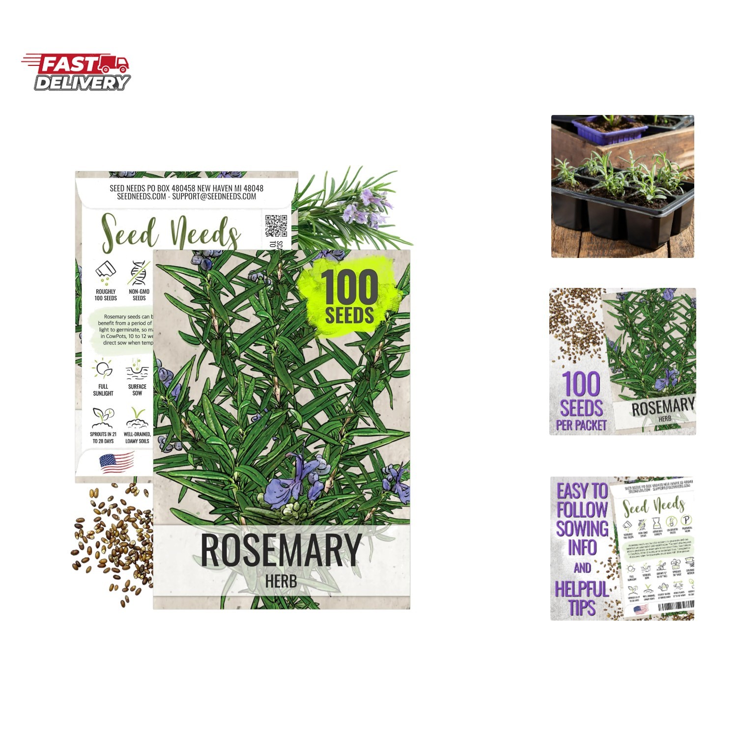 Rosemary Seeds for Planting – Non-GMO Heirloom & Untreated Perennial Herbs to…