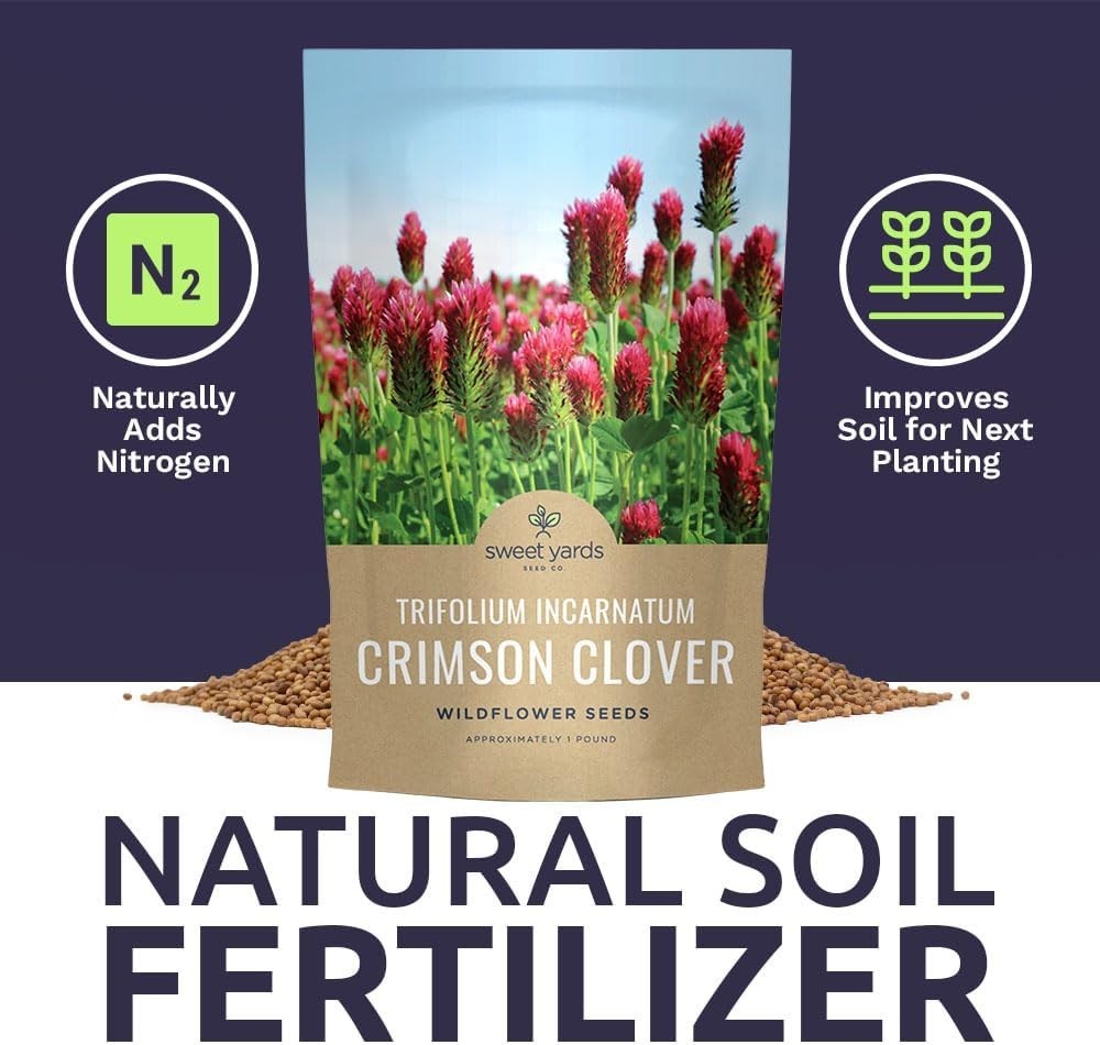 Crimson Clover Seeds for Planting – Bulk 5 Pounds – Over 400,000 Open Pollina…