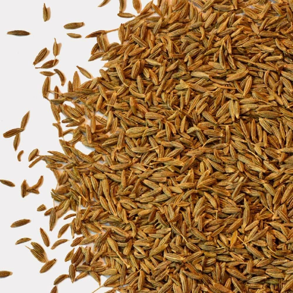 Cumin Spice Seeds ,”COOL BEANS N SPROUTS” Brand. Home Gardening.