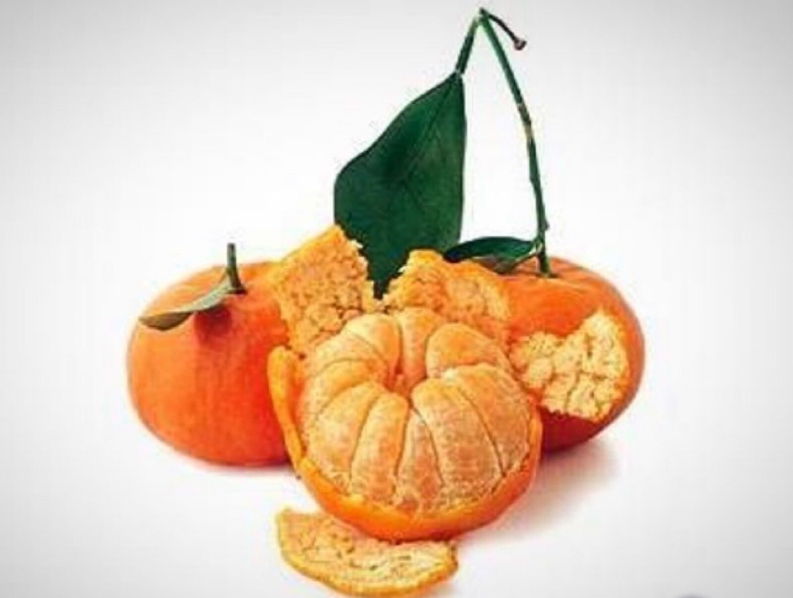California only! Dancy Semi-Dwarf Tangerine Tree 18-36 inches tall, grafted