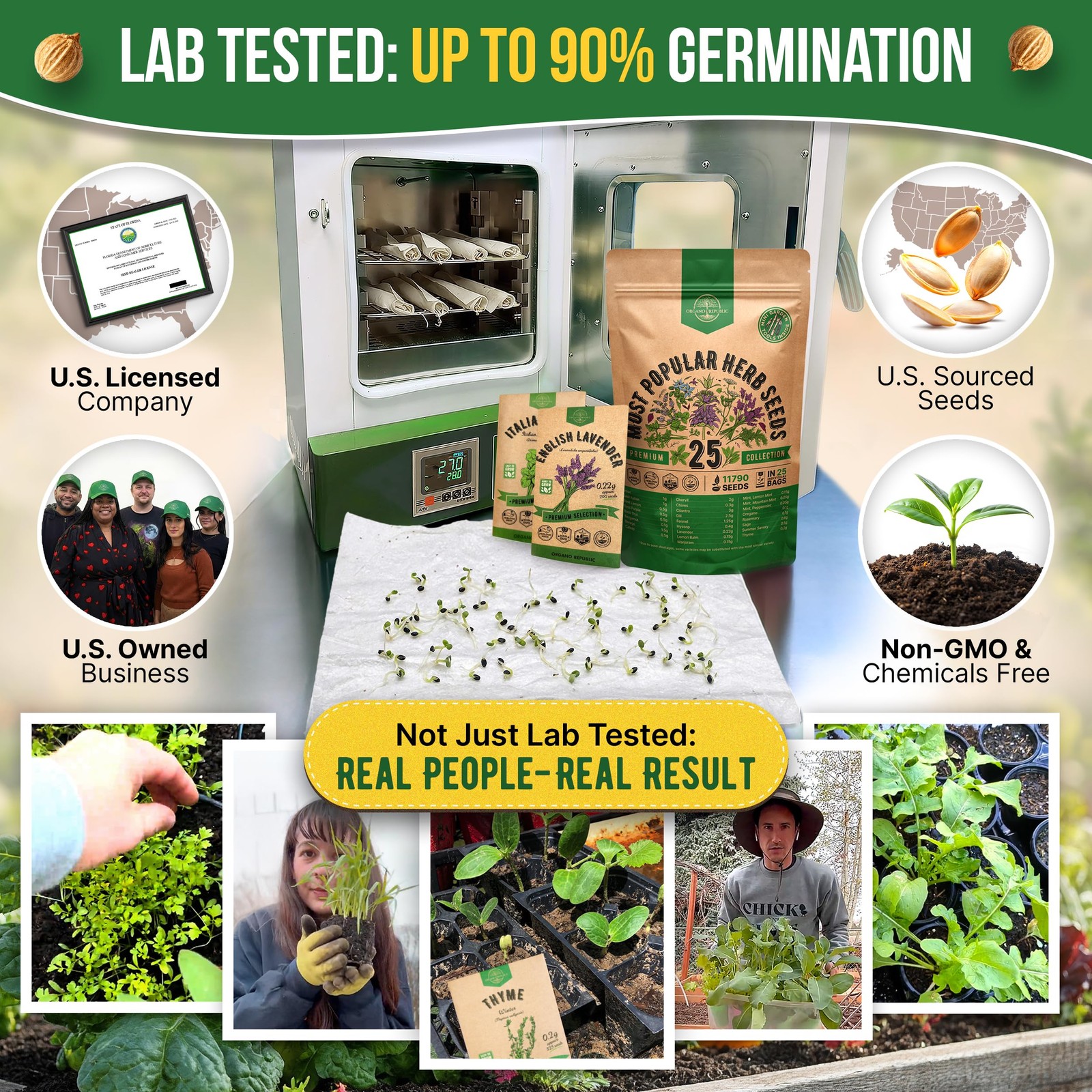 25 Most Popular Herb Seeds Variety Pack 11,700 NonGMO Heirloom Seeds for Pla…