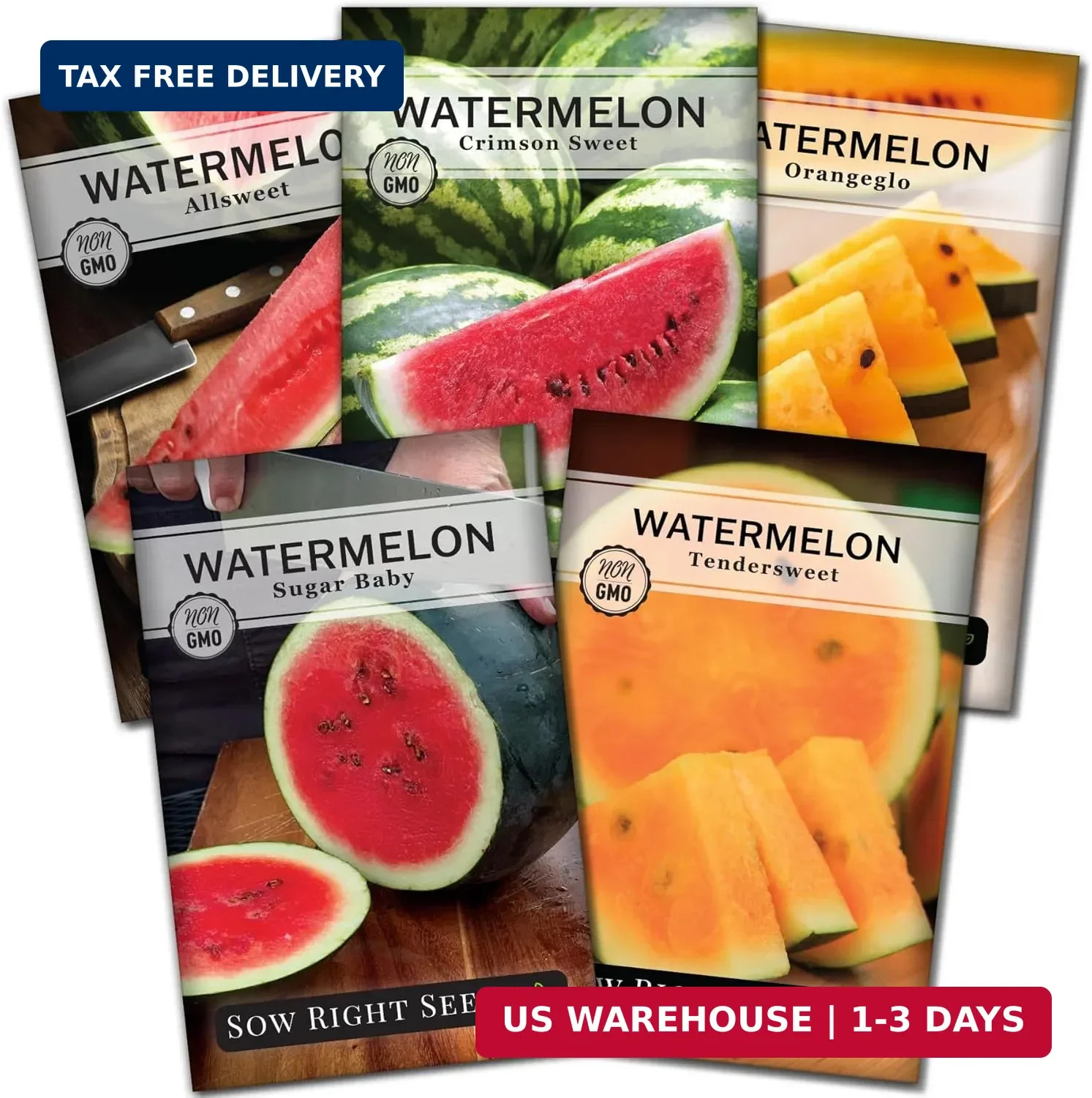 Sow Right Seeds – Watermelon Fruit Seeds Collection for Planting – Crimson Sweet