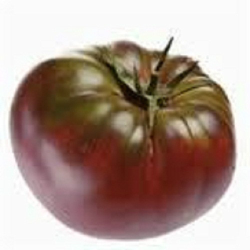 Cherokee Purple Tomato seeds 20 seeds! *HEIRLOOM* SEEDS OF LIFE