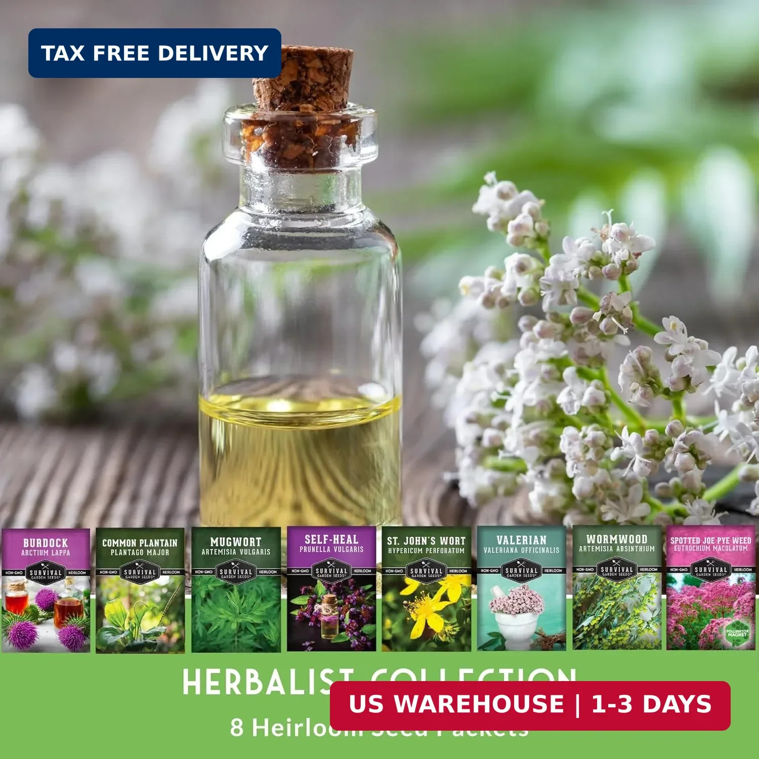 Advanced Medicinal Herb Seeds Collection – Variety Pack for Planting with Planta