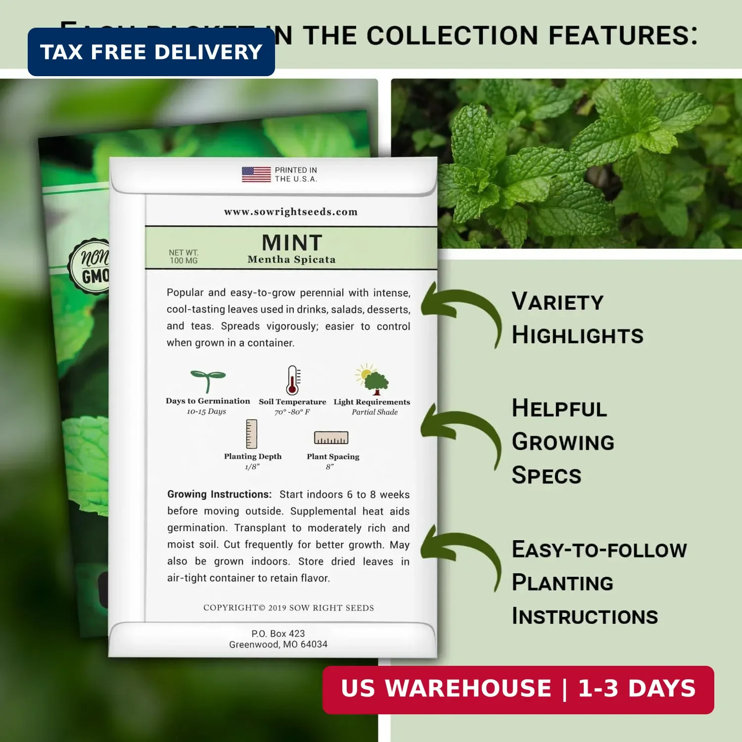 Sow Right Seeds – Most Popular Herb Seed Collection for Planting – Mint, Lavende