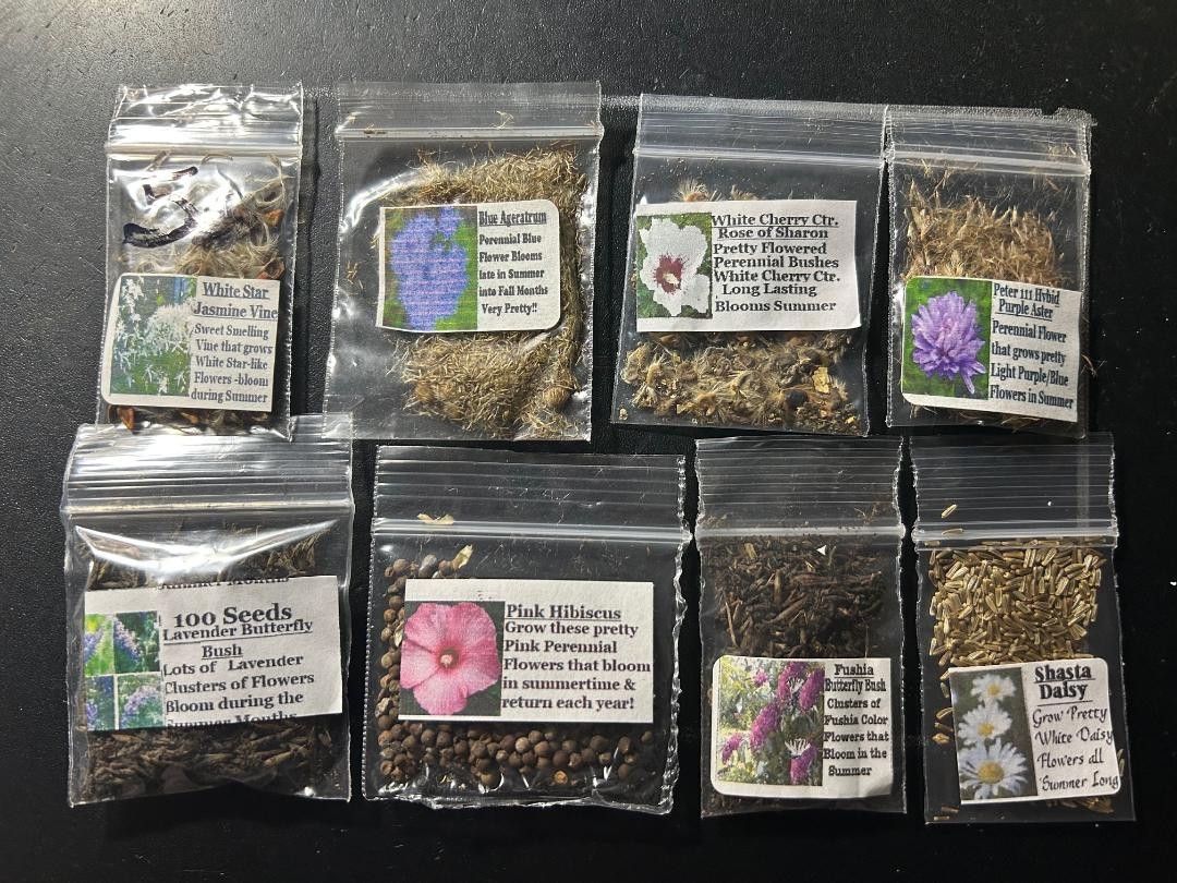 LOTS OF VARIETY OF 8 DIFFERENT KINDS OF FLOWER SEEDS GREAT DEAL! #020 USA Seller