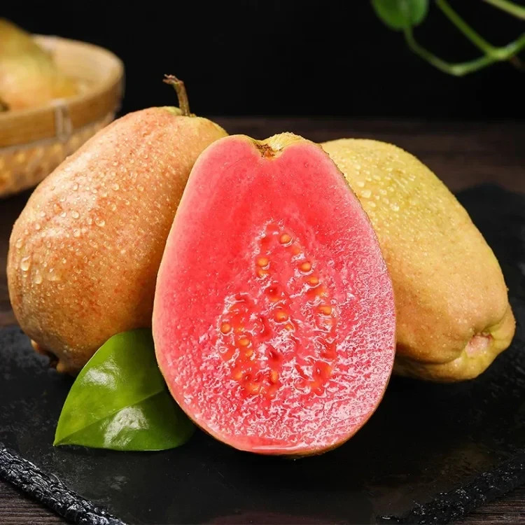 50 Red Guava Seeds – Tropical Fruit Tree with Sweet Pink Flesh for Home Garden