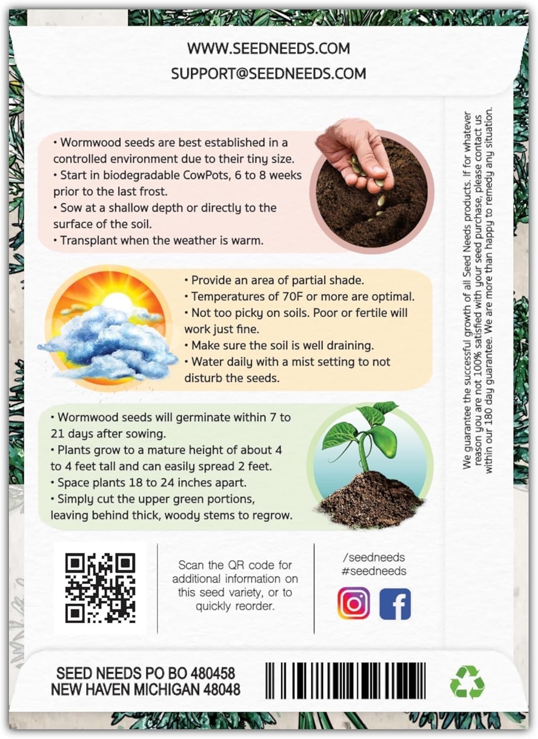 Wormwood Seeds for Planting – Non-GMO Perennial Herb for Digestion – 1000 Seeds