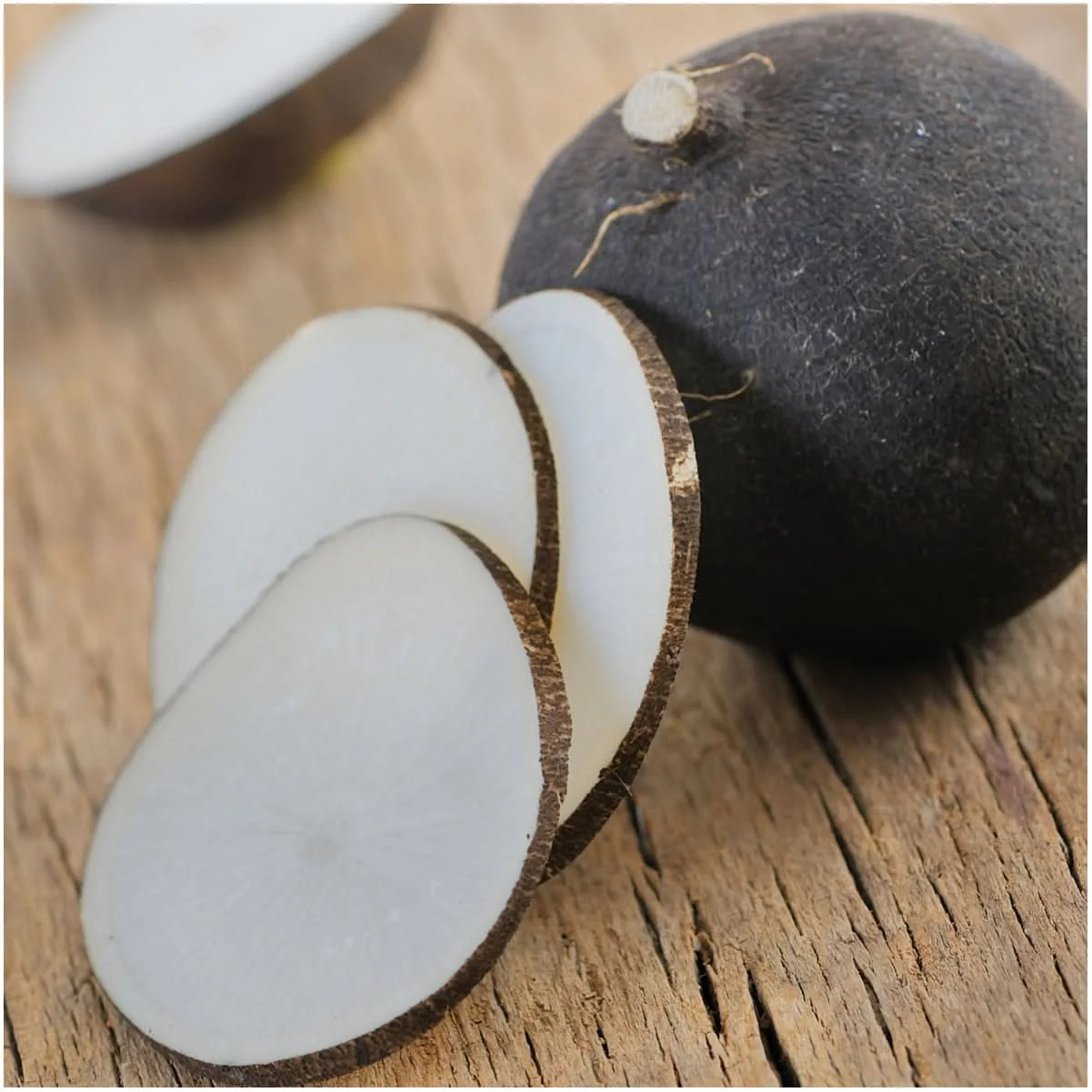 Black Spanish Radish Seeds For Planting (Raphanus sativus)