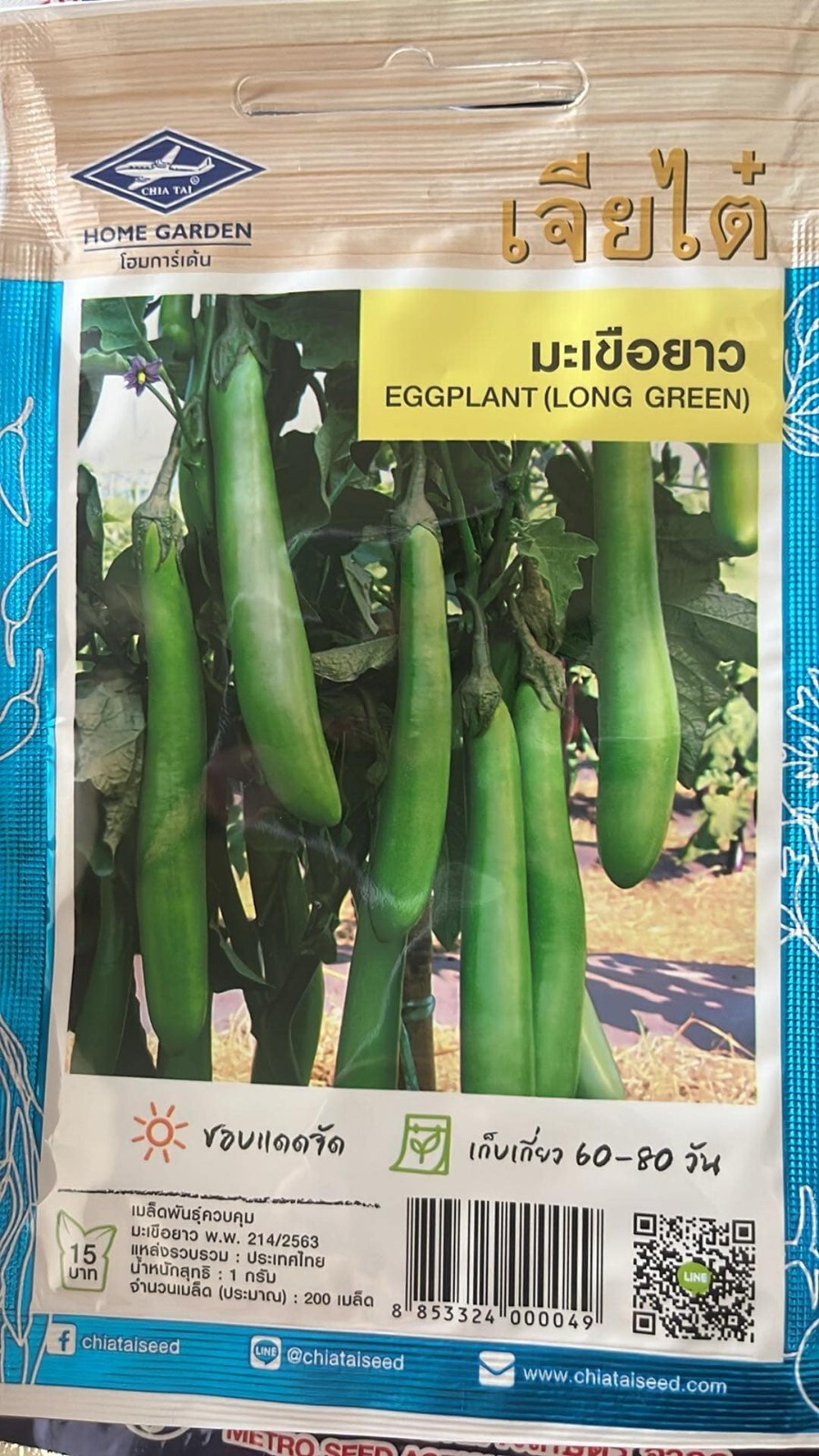 Thai Long Green Eggplant Seeds
