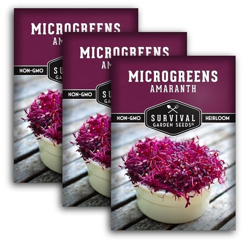 Red Amaranth Microgreen Seeds for Sprouting – Non-GMO Heirloom Seed Variety 3