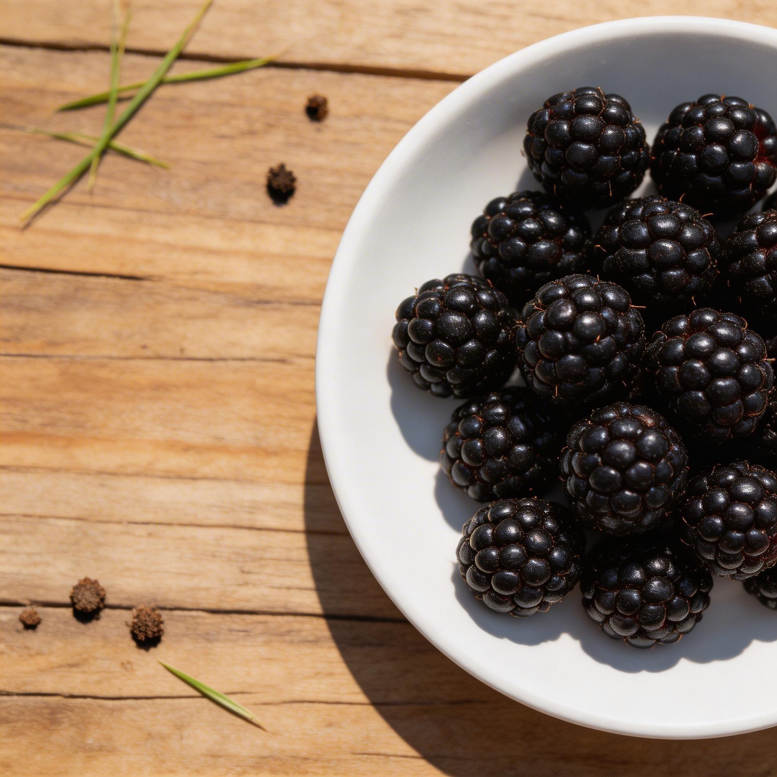 Blackberry Fruit Seeds 100pcs Suitable for Outdoor & Indoor Planting