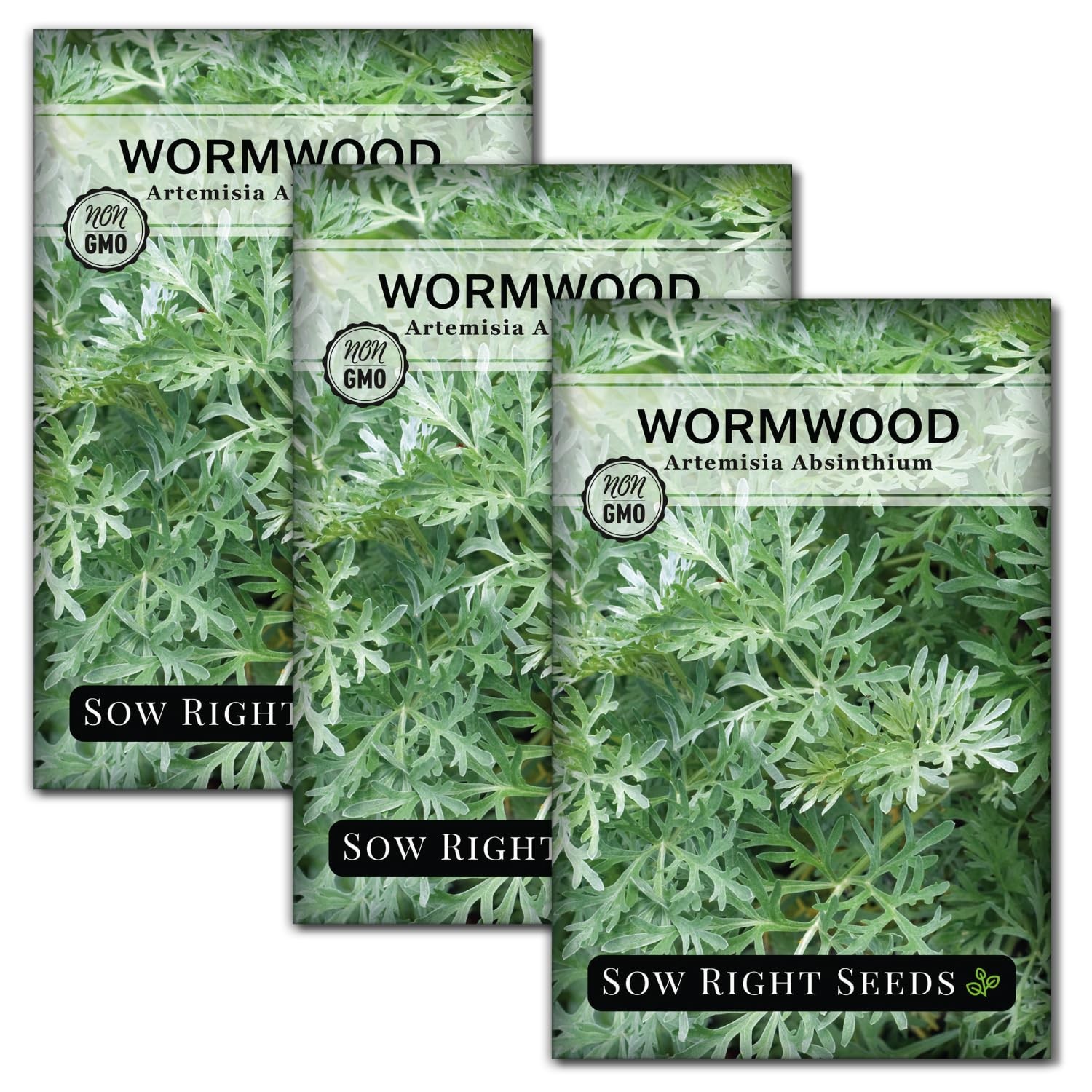 Wormwood Seeds for Planting – Non-GMO Heirloom Herb Garden Packet with