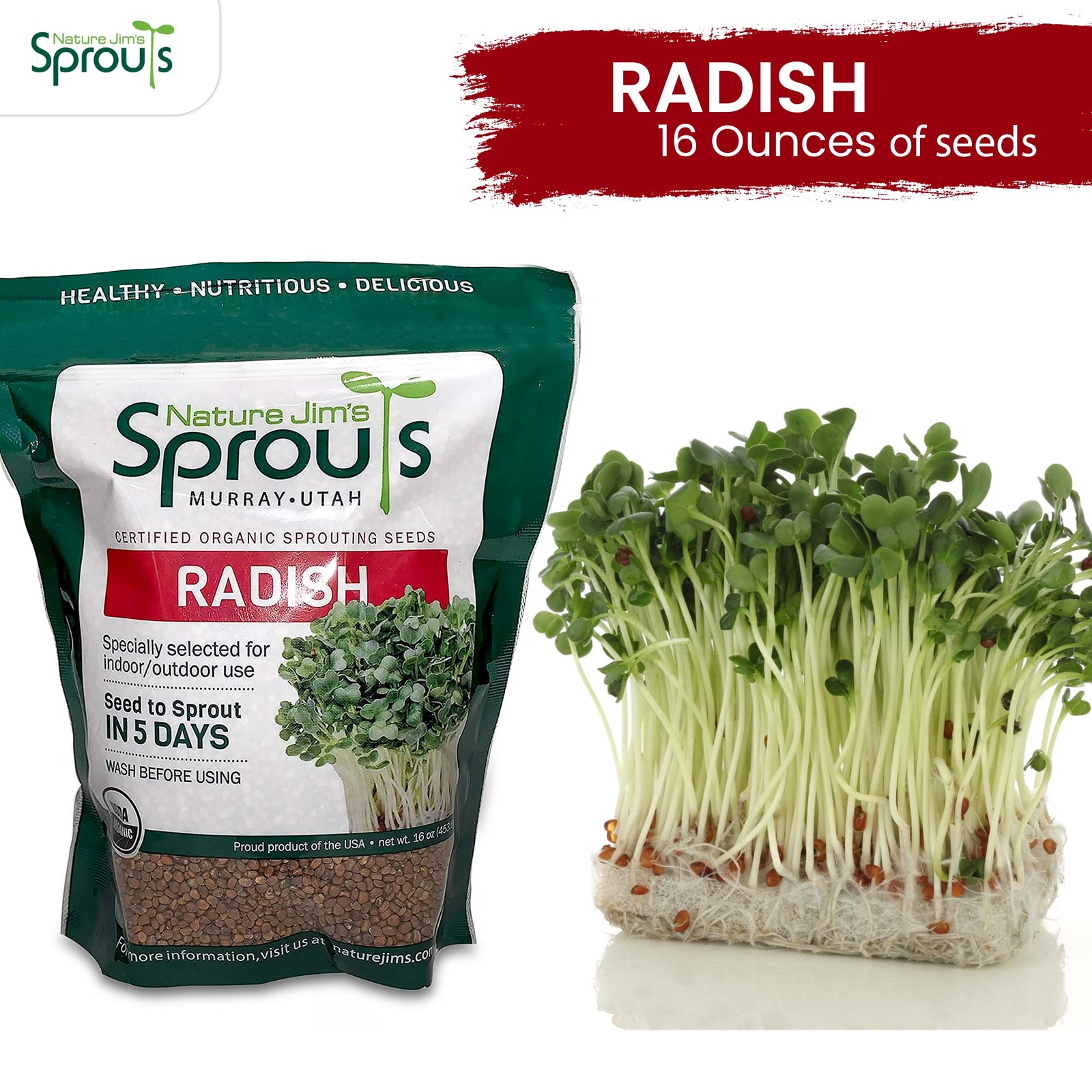 Nature Jims Radish Sprout Seeds – 16 Ounce Organic Sprouting Seeds – Non-GMO …