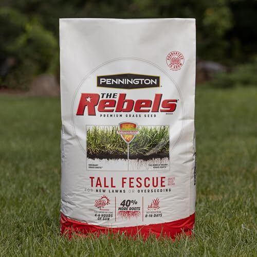 7 lb Pennington Rebels Tall Fescue Grass Seed for Dense Dark Lawn