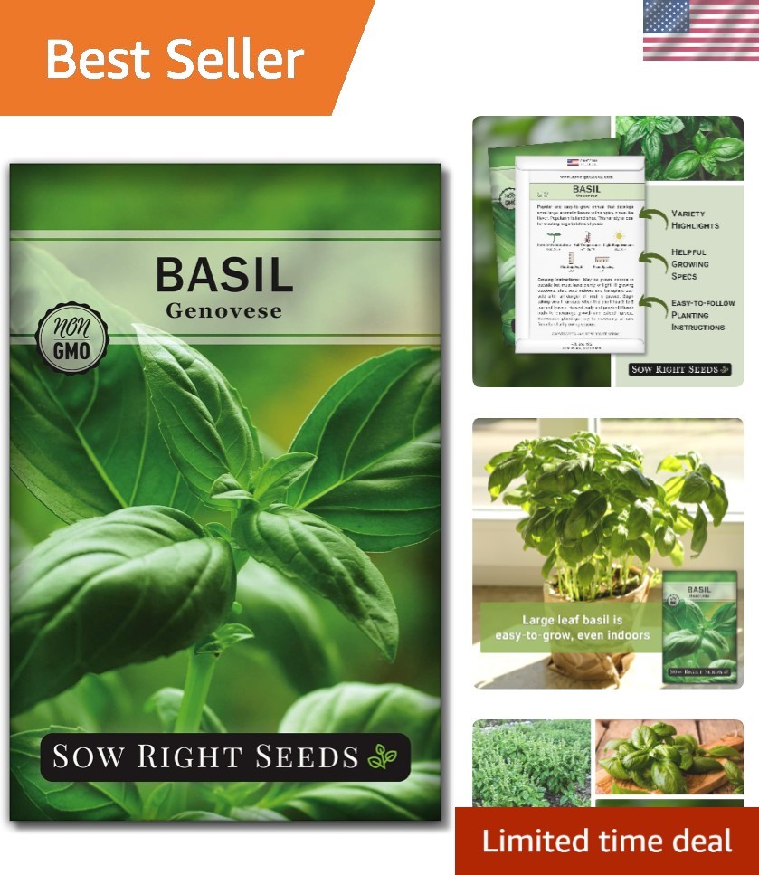 500 Count Genovese Basil Seeds – Non-GMO Heirloom for Hydroponic & Soil Gardens