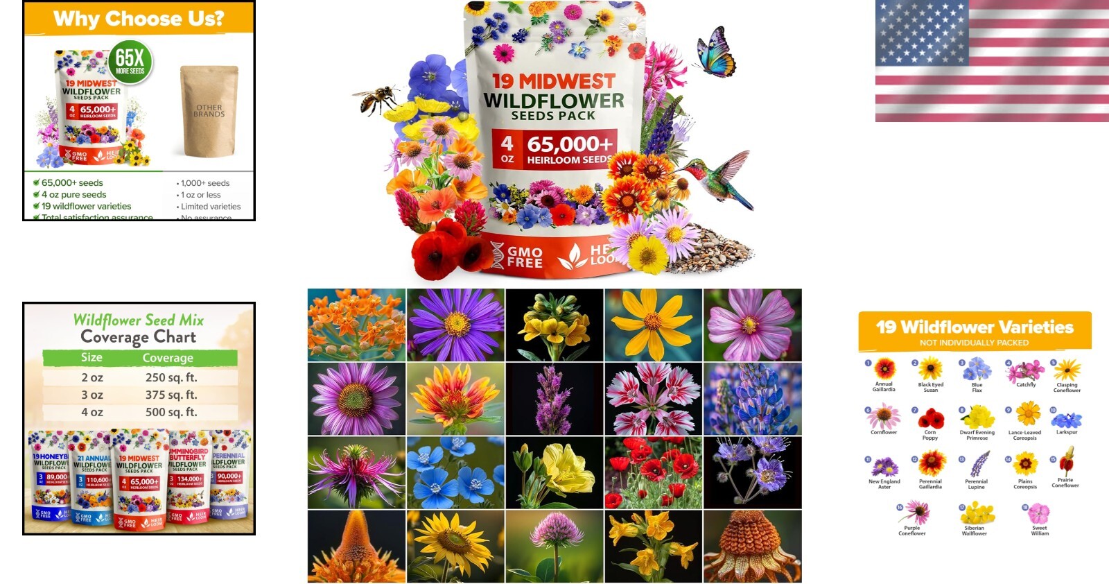 Non-GMO Midwest Wildflower Seeds – Easy Growth for Spring to Summer Gardens