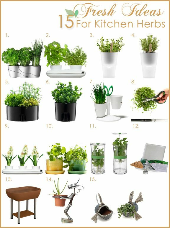 7 CULINARY herb varieties NON-GMO SEEDS GREAT in the KITCHEN ESSENTIAL SURVIVAL!