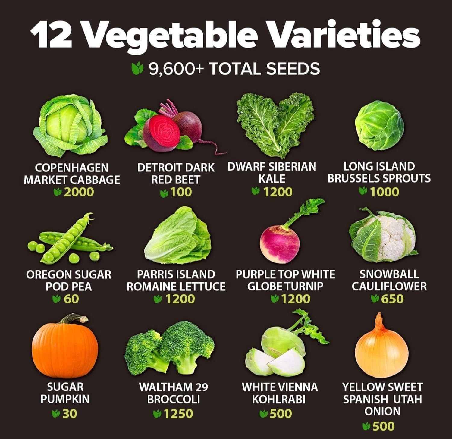Complete Heirloom Vegetable Seed Kit: 9600 Seeds for Fall & Winter Harvest